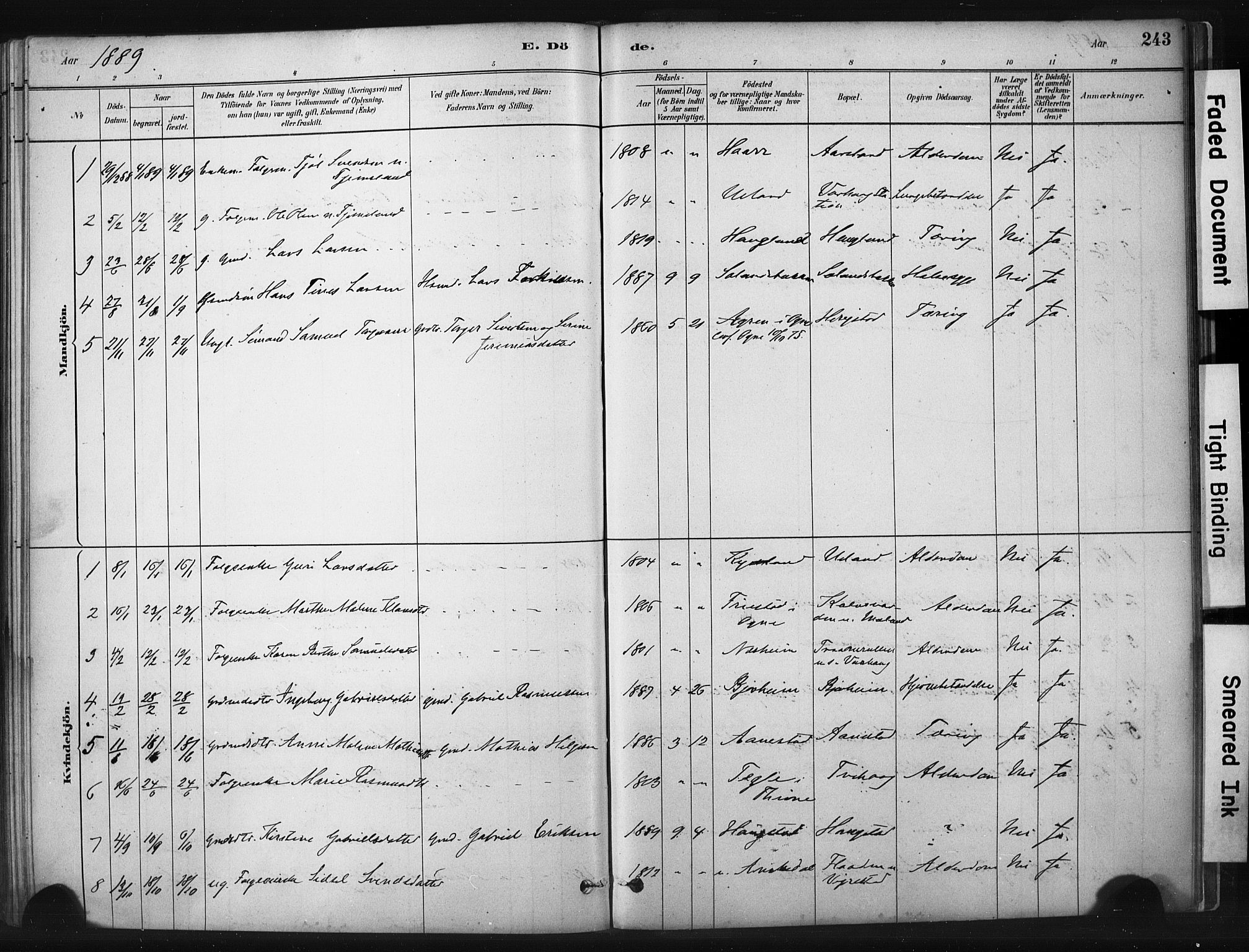 Hå sokneprestkontor, AV/SAST-A-101801/001/30BA/L0011: Parish register (official) no. A 10, 1879-1900, p. 243