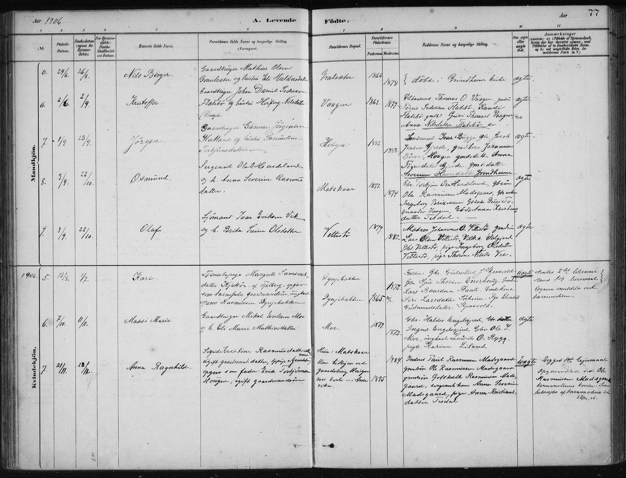 Etne sokneprestembete, AV/SAB-A-75001/H/Haa: Parish register (official) no. C  1, 1879-1919, p. 77