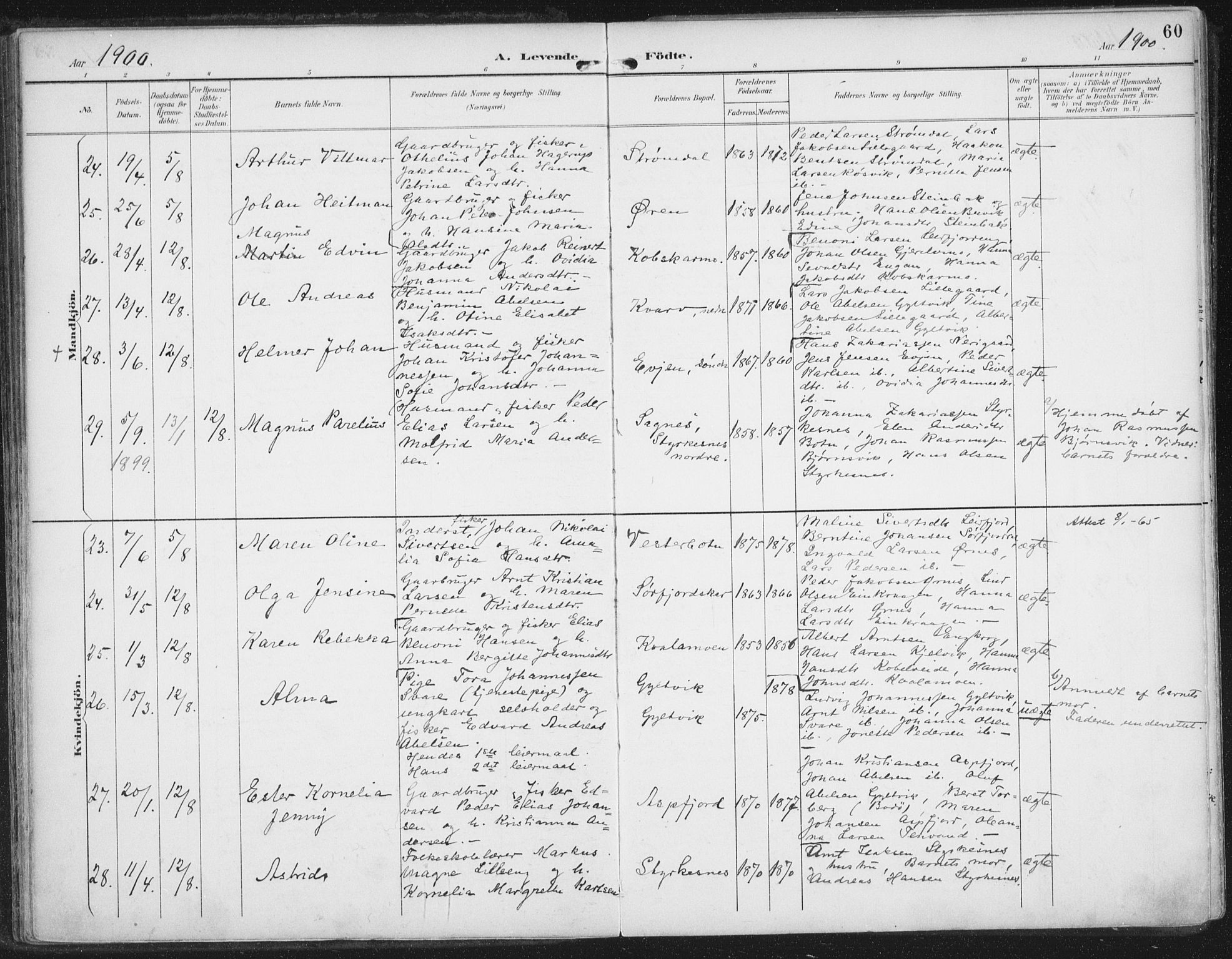 Ministerialprotokoller, klokkerbøker og fødselsregistre - Nordland, AV/SAT-A-1459/854/L0779: Parish register (official) no. 854A02, 1892-1909, p. 60