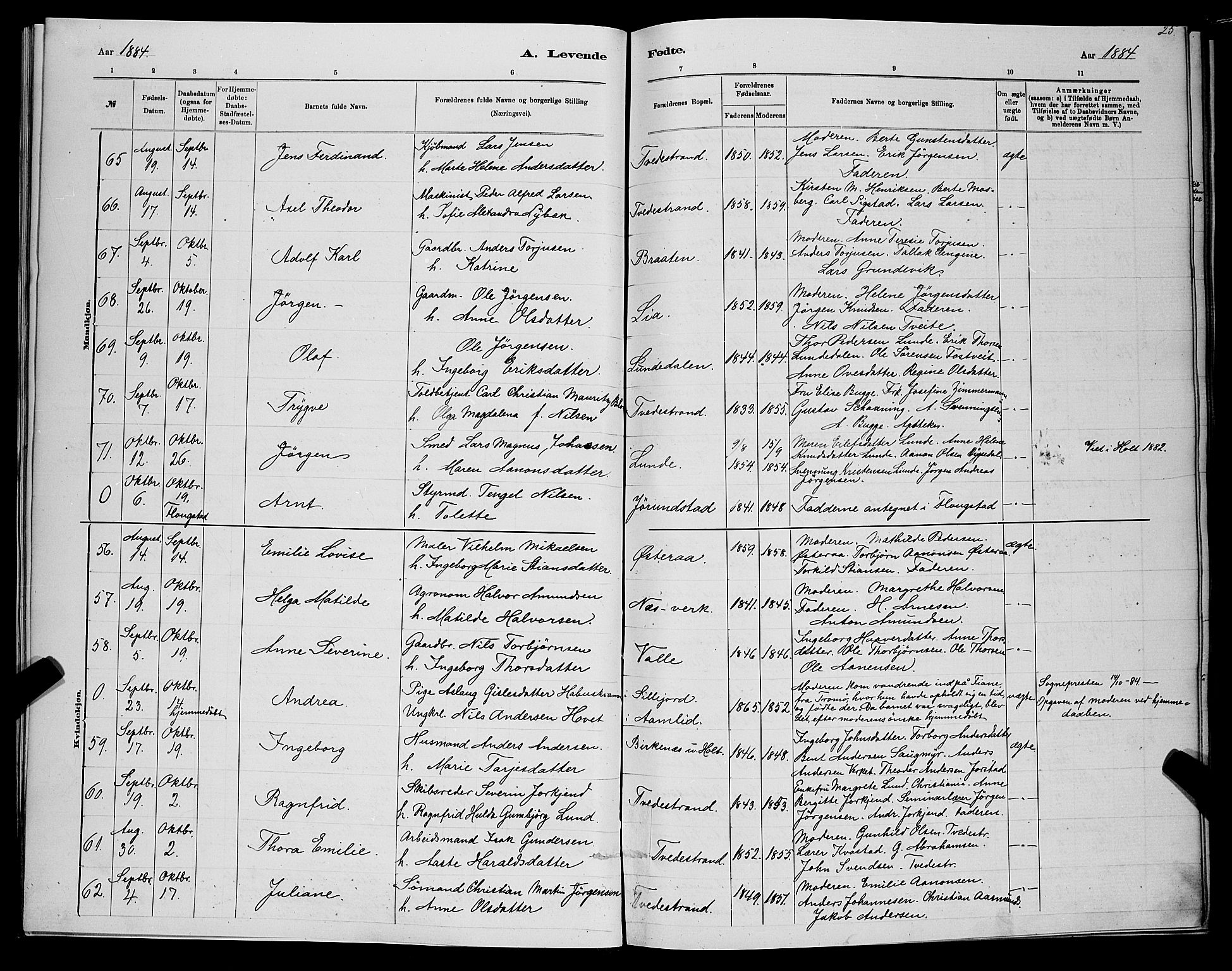 Holt sokneprestkontor, AV/SAK-1111-0021/F/Fb/L0010: Parish register (copy) no. B 10, 1883-1896, p. 25