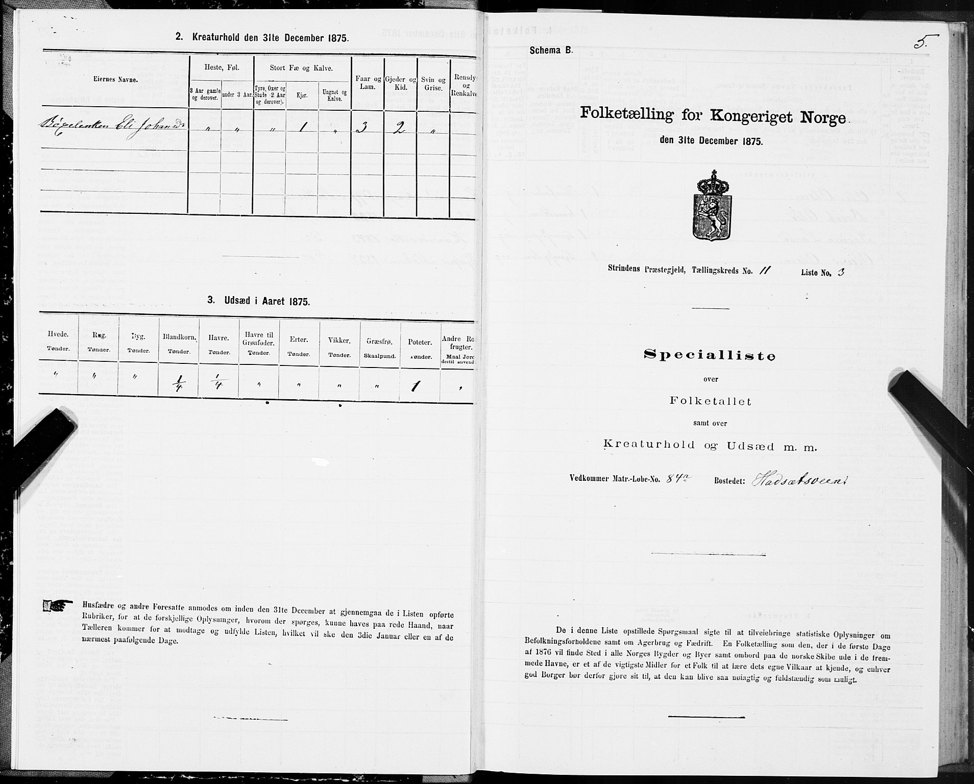 SAT, 1875 census for 1660P Strinda, 1875, p. 7005