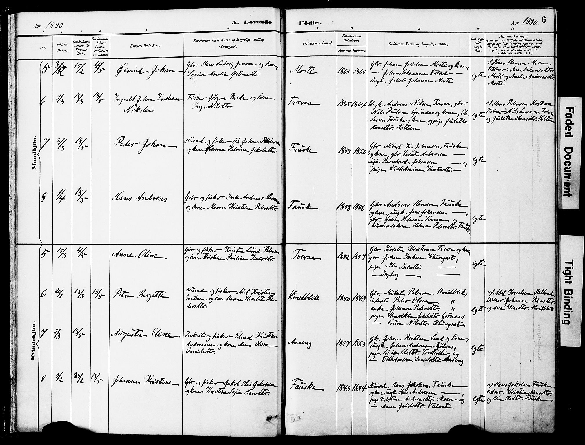 Ministerialprotokoller, klokkerbøker og fødselsregistre - Nordland, AV/SAT-A-1459/849/L0690: Parish register (official) no. 849A02, 1890-1897, p. 6