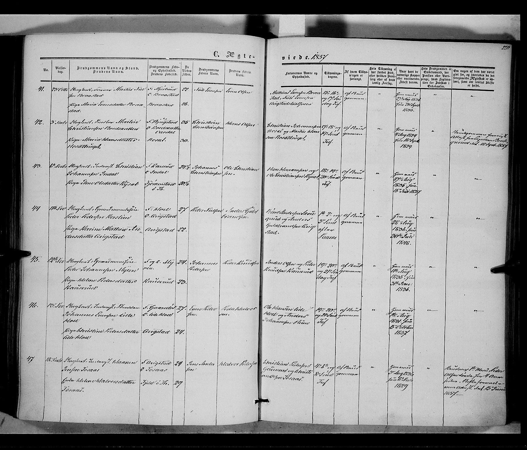 Vestre Toten prestekontor, SAH/PREST-108/H/Ha/Haa/L0006: Parish register (official) no. 6, 1856-1861, p. 220