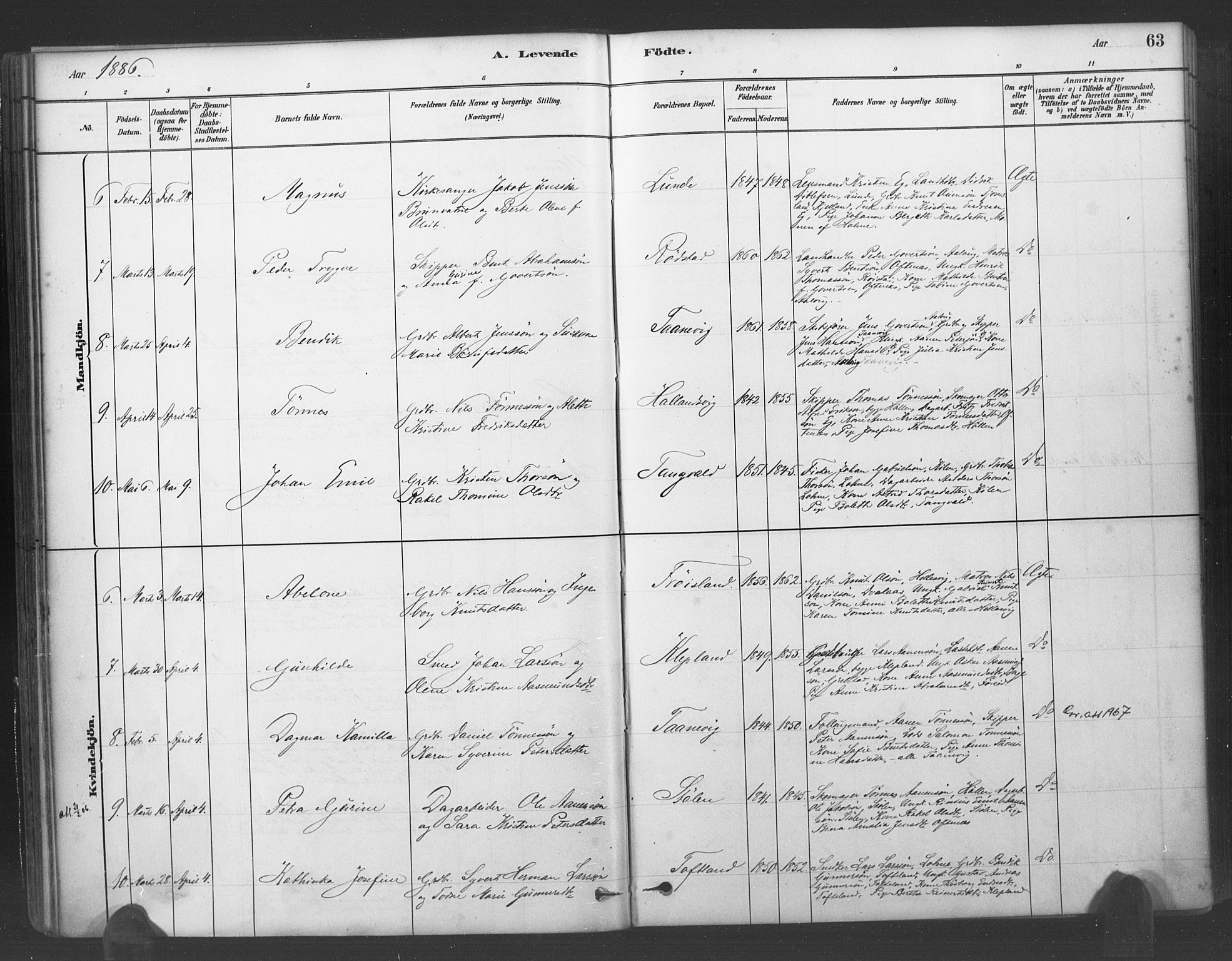 Søgne sokneprestkontor, SAK/1111-0037/F/Fa/Fab/L0012: Parish register (official) no. A 12, 1880-1891, p. 63