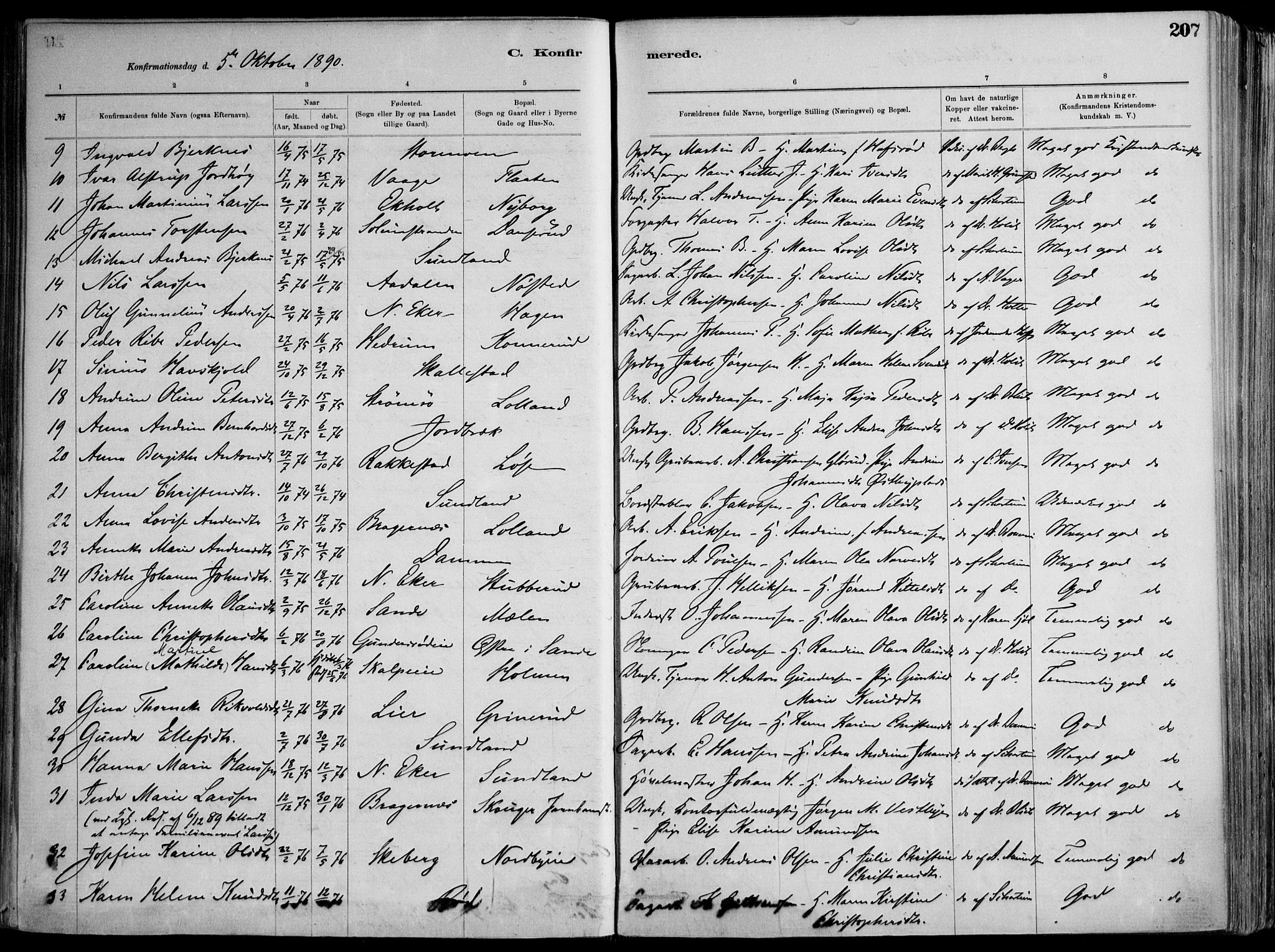 Skoger kirkebøker, AV/SAKO-A-59/F/Fa/L0006: Parish register (official) no. I 6, 1885-1910, p. 207