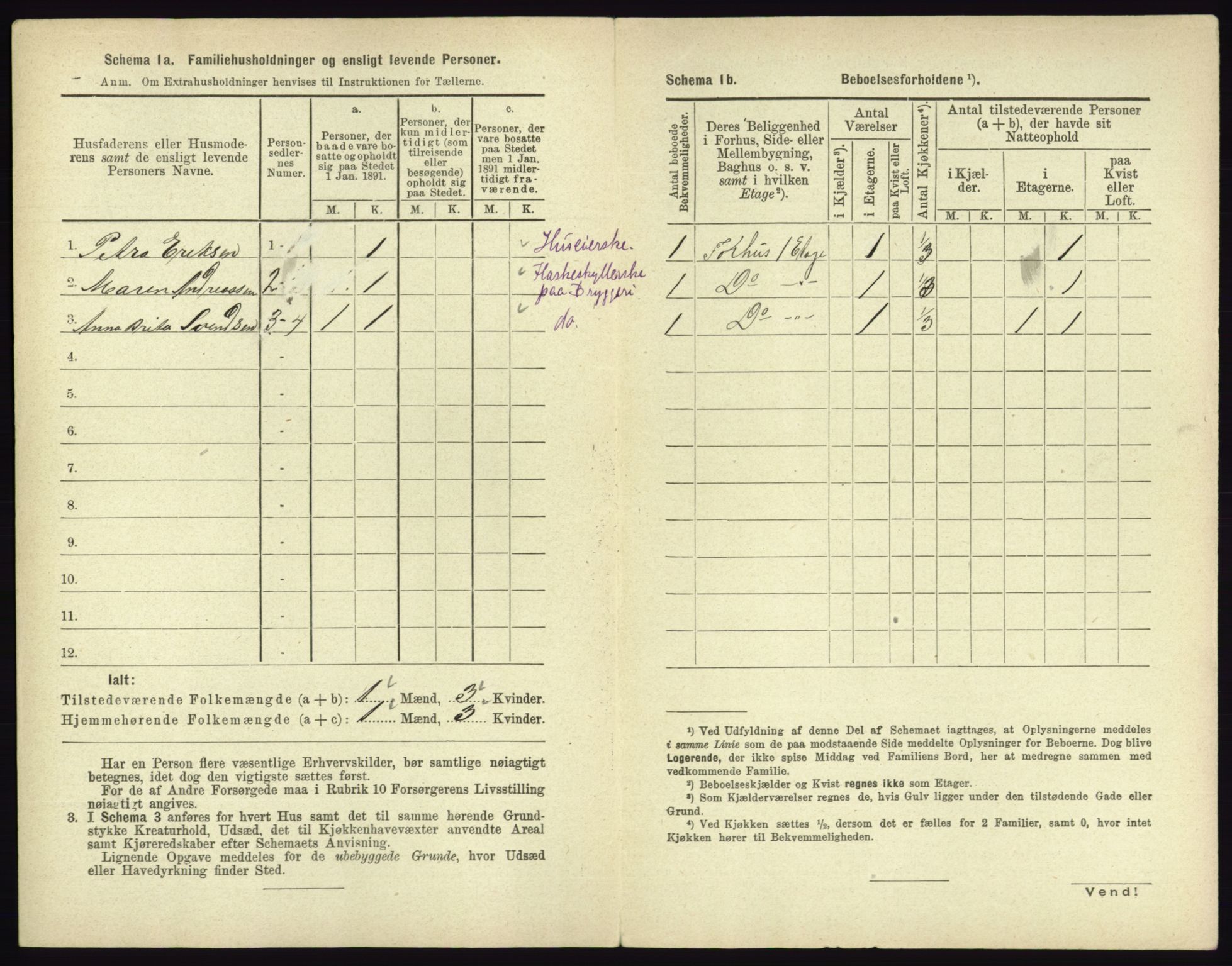 RA, 1891 census for 0602 Drammen, 1891, p. 3266