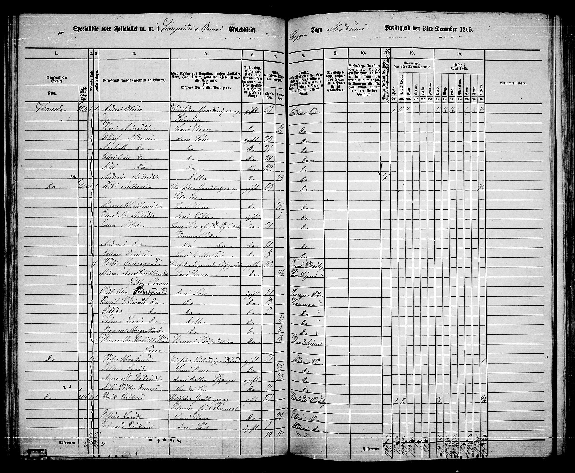 RA, 1865 census for Modum, 1865, p. 156