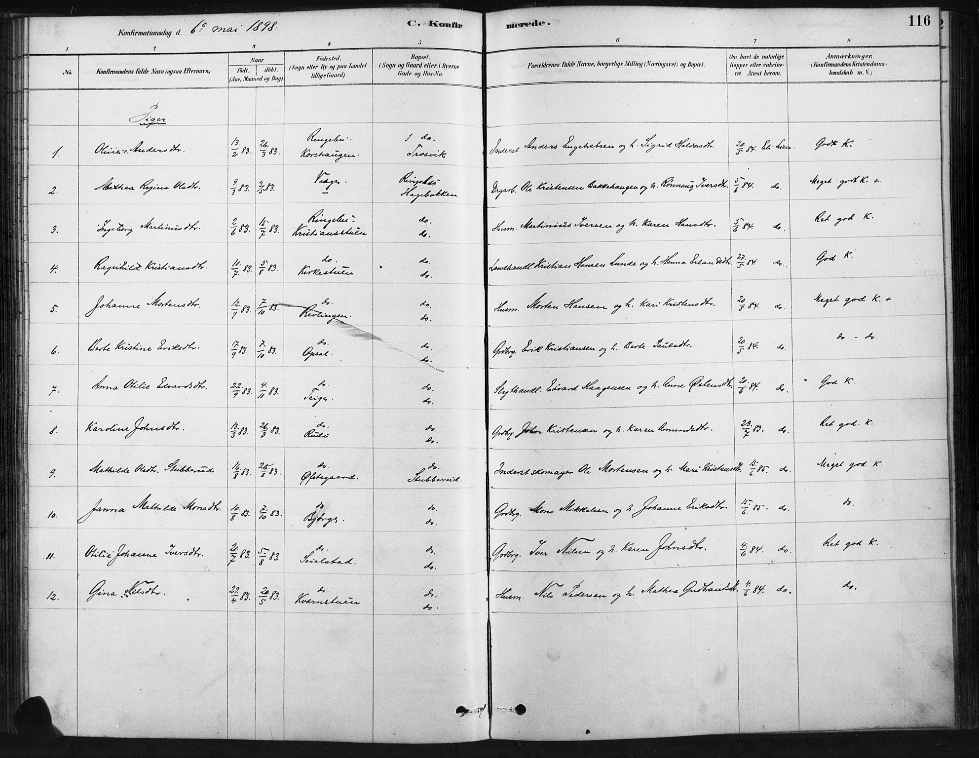 Ringebu prestekontor, SAH/PREST-082/H/Ha/Haa/L0009: Parish register (official) no. 9, 1878-1898, p. 116