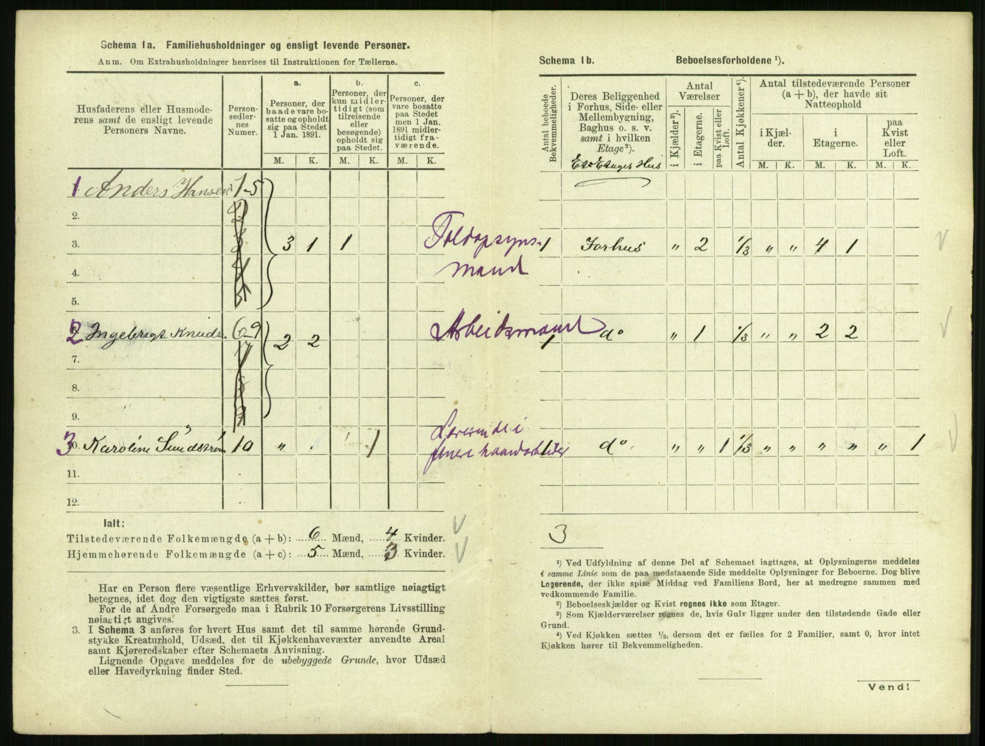 RA, 1891 census for 0805 Porsgrunn, 1891, p. 790