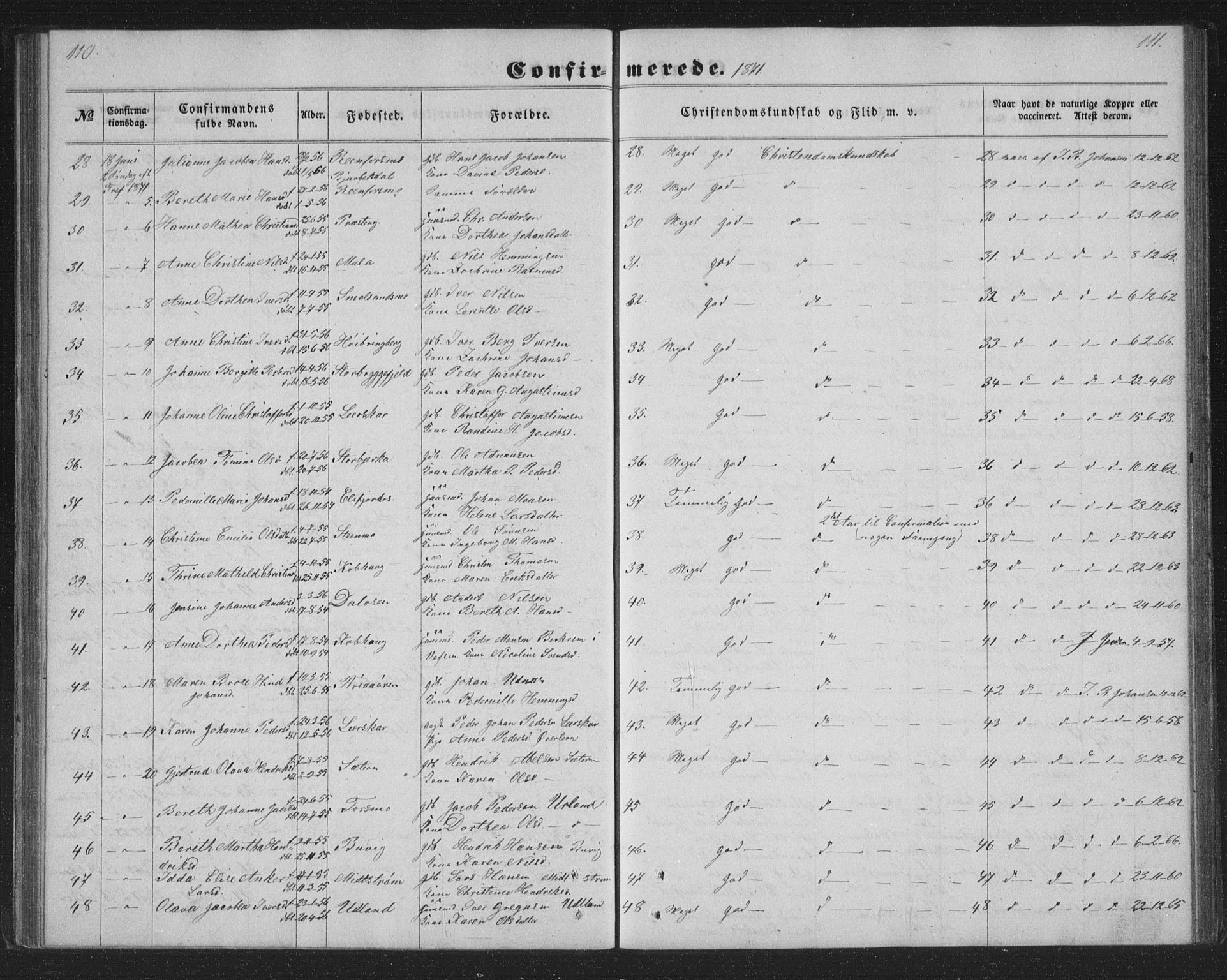 Ministerialprotokoller, klokkerbøker og fødselsregistre - Nordland, AV/SAT-A-1459/825/L0366: Parish register (copy) no. 825C03, 1858-1884, p. 110-111