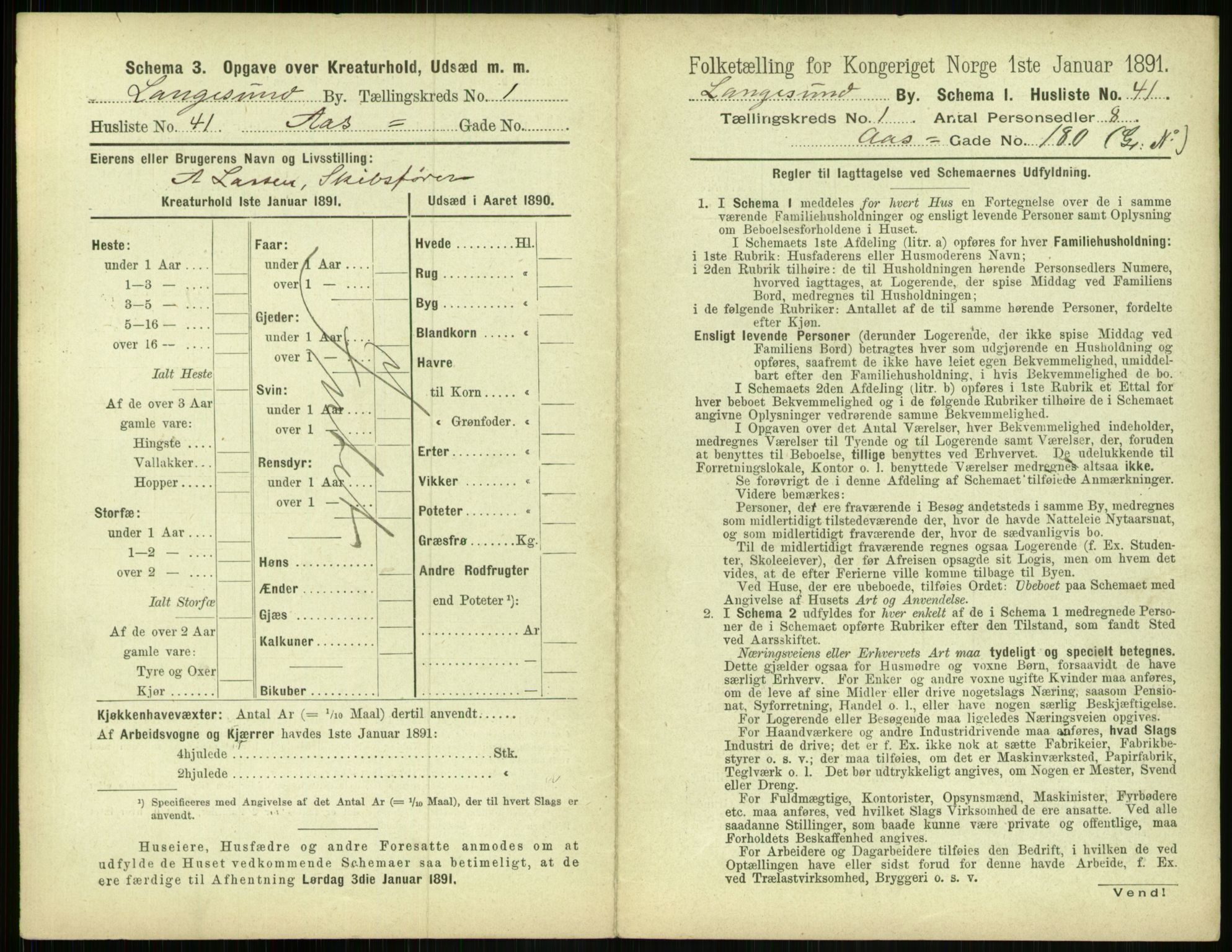 RA, 1891 census for 0802 Langesund, 1891, p. 102