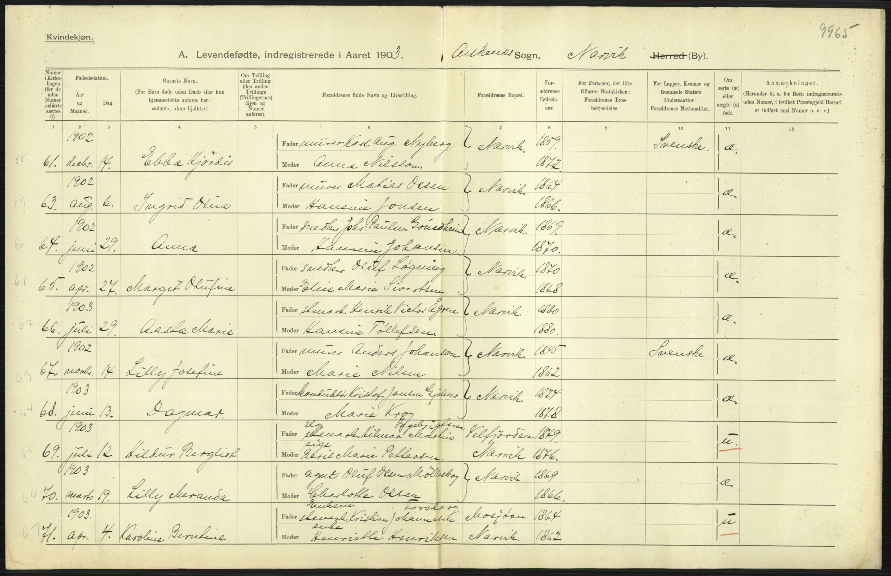 Statistisk sentralbyrå, Sosiodemografiske emner, Befolkning, AV/RA-S-2228/D/Df/Dfa/Dfaa/L0019: Nordlands amt: Fødte, gifte, døde., 1903, p. 39