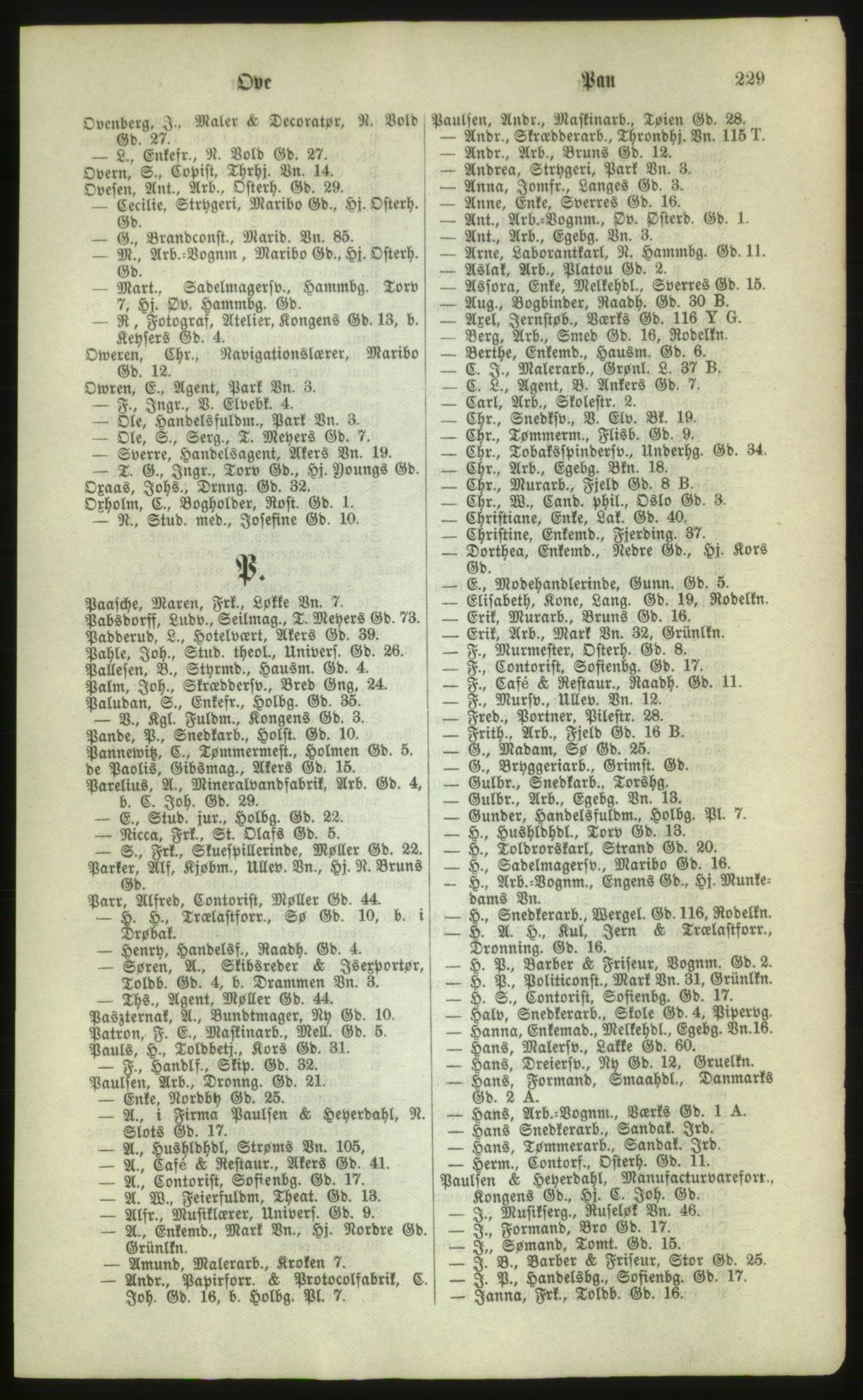 Kristiania/Oslo adressebok, PUBL/-, 1880, p. 229