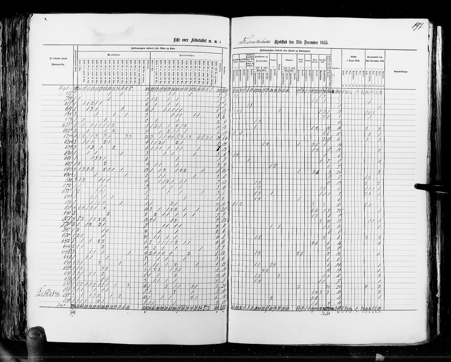 RA, Census 1855, vol. 7: Fredrikshald-Kragerø, 1855, p. 197