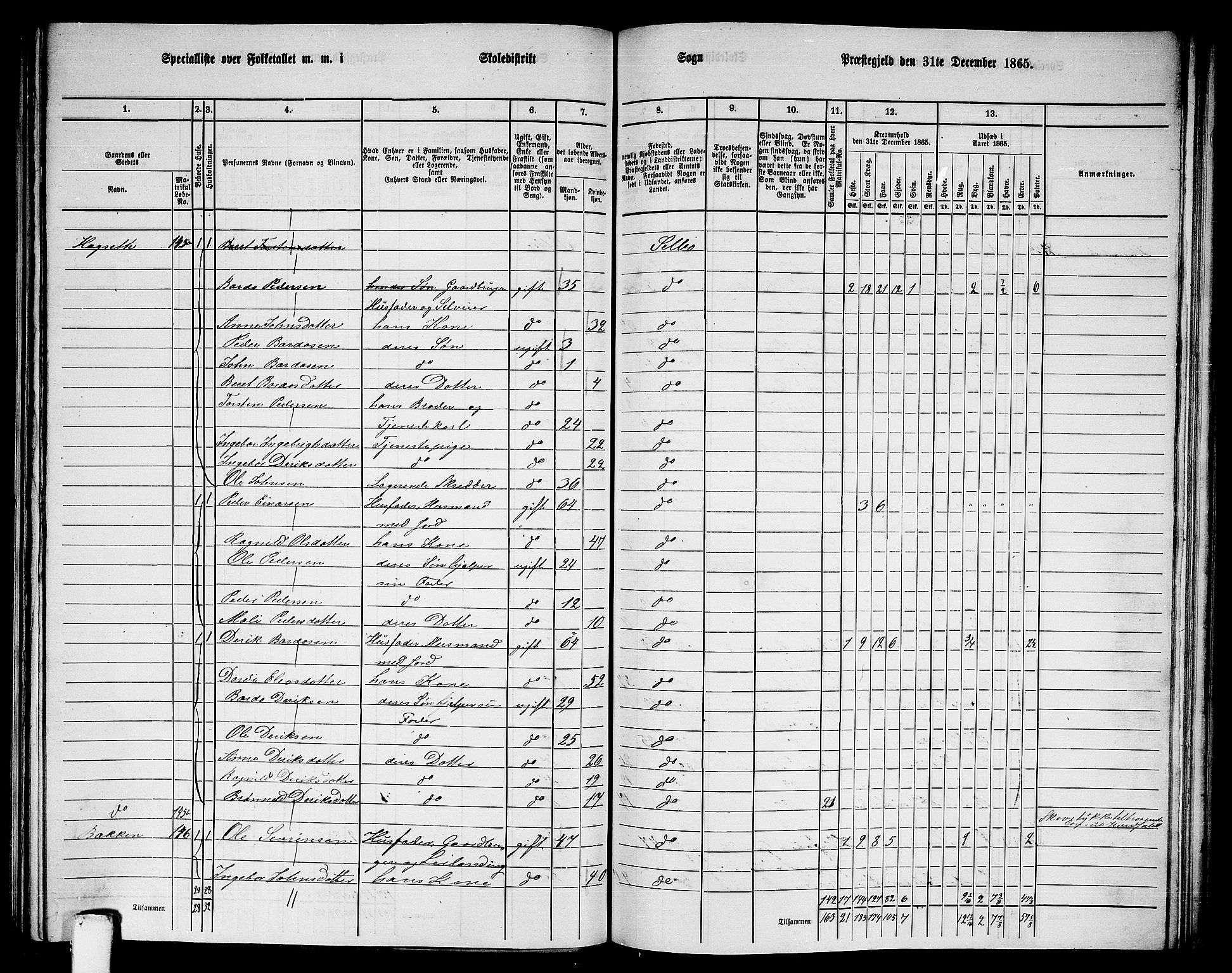 RA, 1865 census for Selbu, 1865, p. 152