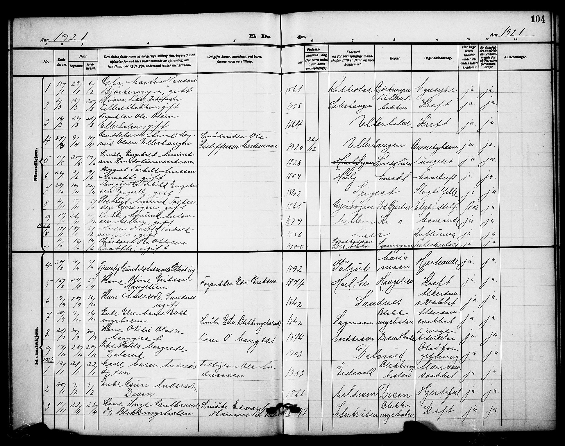 Sør-Odal prestekontor, AV/SAH-PREST-030/H/Ha/Hab/L0009: Parish register (copy) no. 9, 1915-1927, p. 104