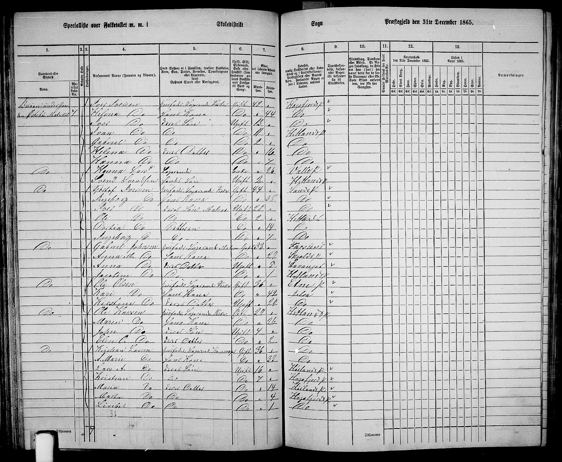 RA, 1865 census for Hetland, 1865, p. 58