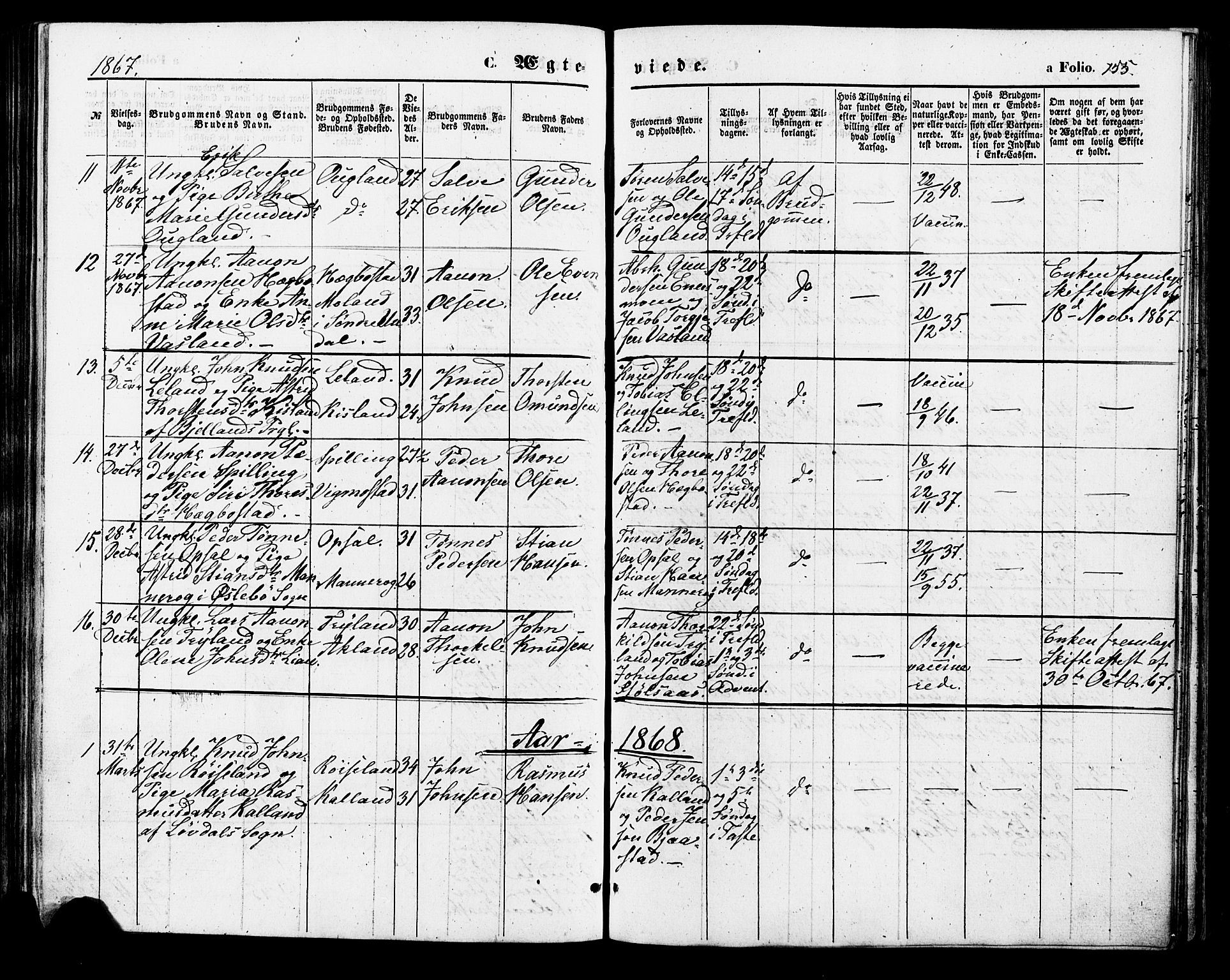 Nord-Audnedal sokneprestkontor, AV/SAK-1111-0032/F/Fa/Fab/L0002: Parish register (official) no. A 2, 1859-1882, p. 155