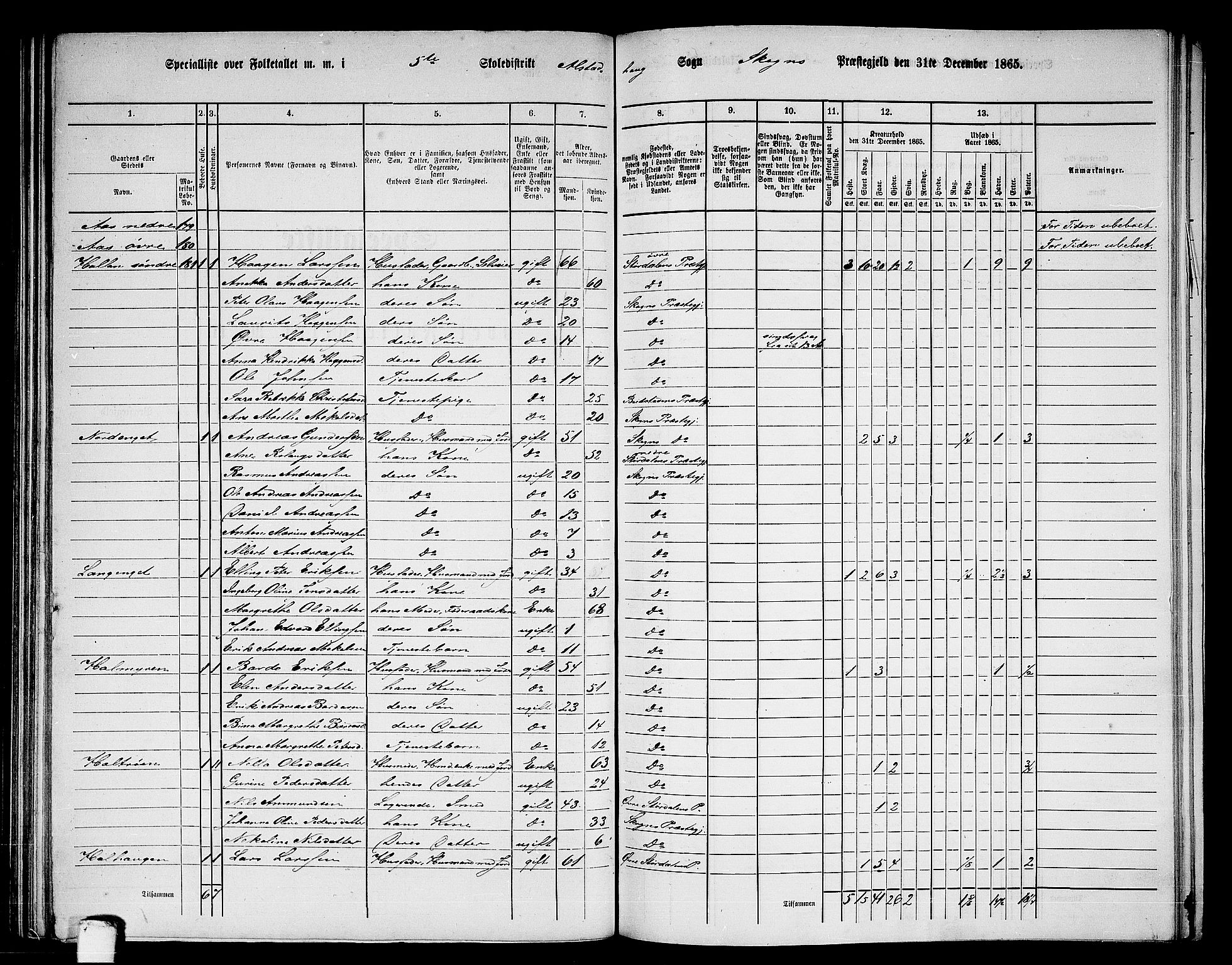 RA, 1865 census for Skogn, 1865, p. 117