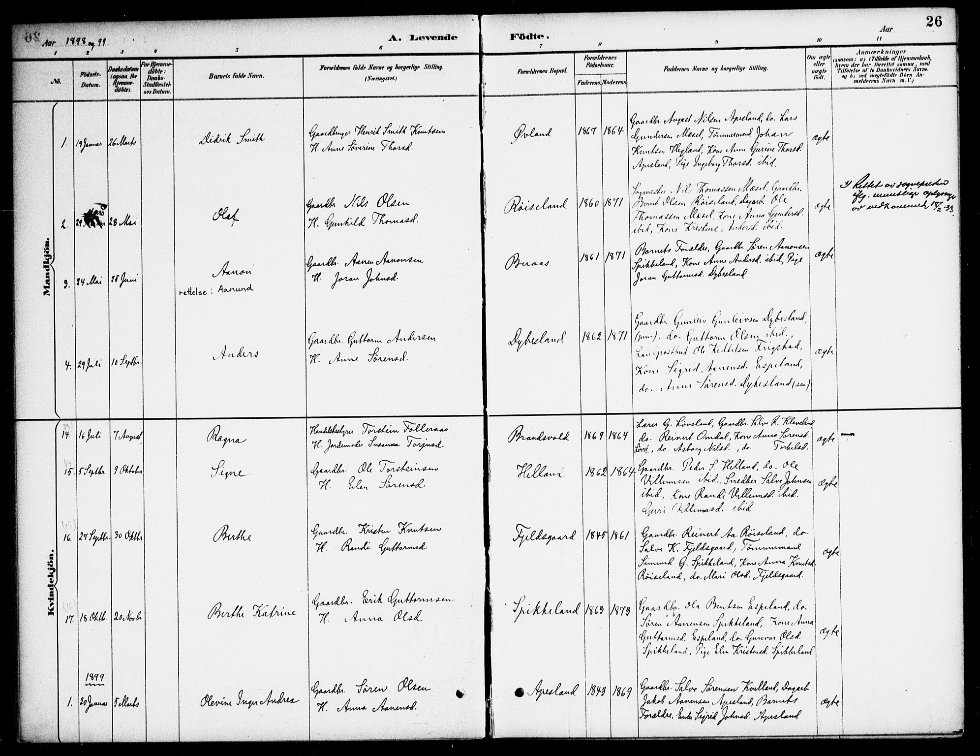 Bjelland sokneprestkontor, AV/SAK-1111-0005/F/Fa/Fab/L0004: Parish register (official) no. A 4, 1887-1920, p. 26