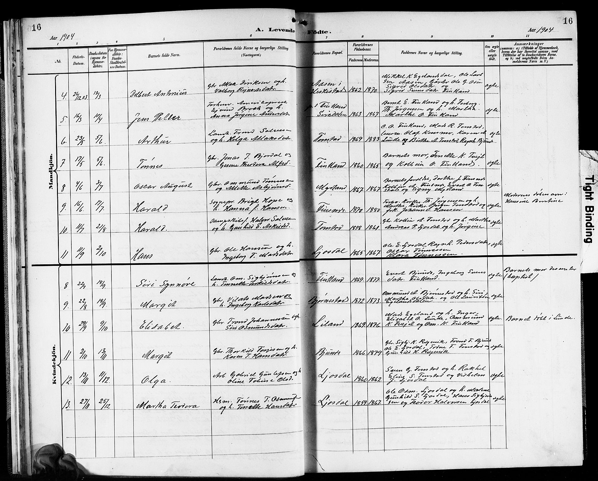 Sirdal sokneprestkontor, SAK/1111-0036/F/Fb/Fbb/L0004: Parish register (copy) no. B 4, 1895-1916, p. 16