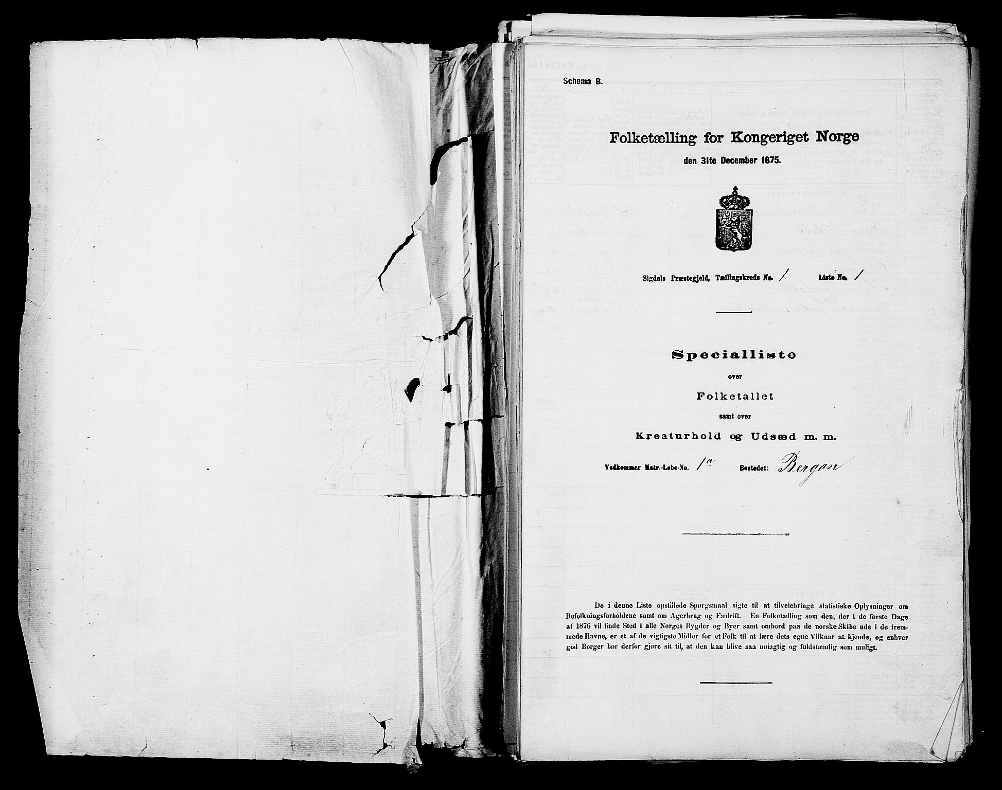 SAKO, 1875 census for 0621P Sigdal, 1875, p. 80