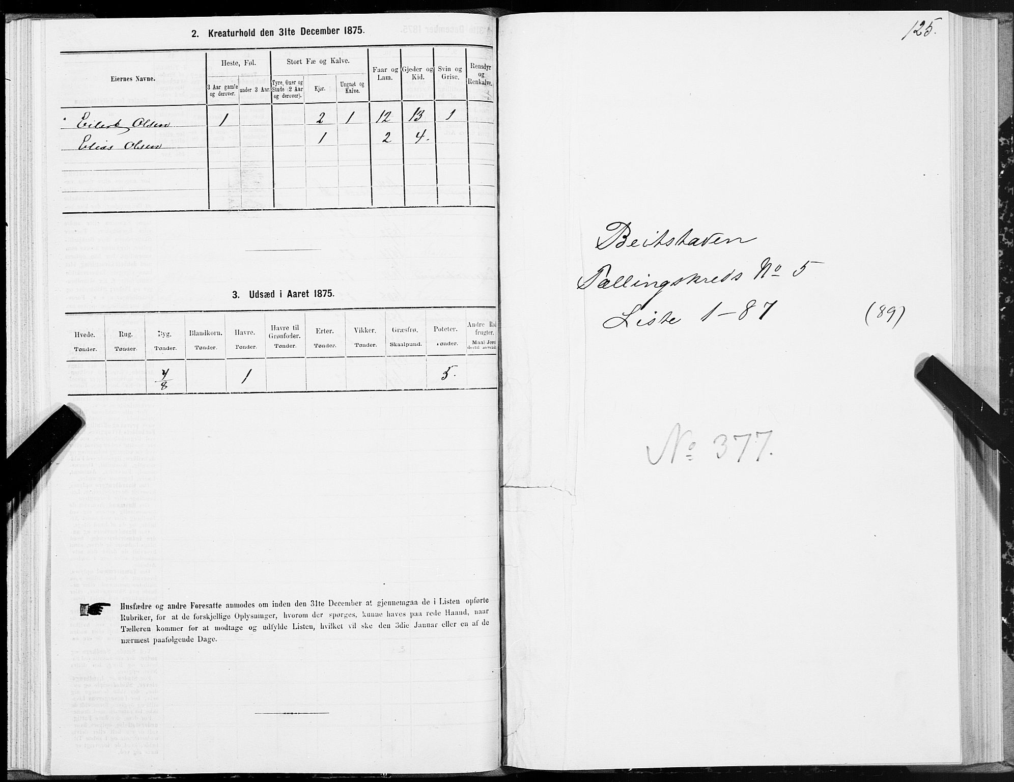 SAT, 1875 census for 1727P Beitstad, 1875, p. 3125