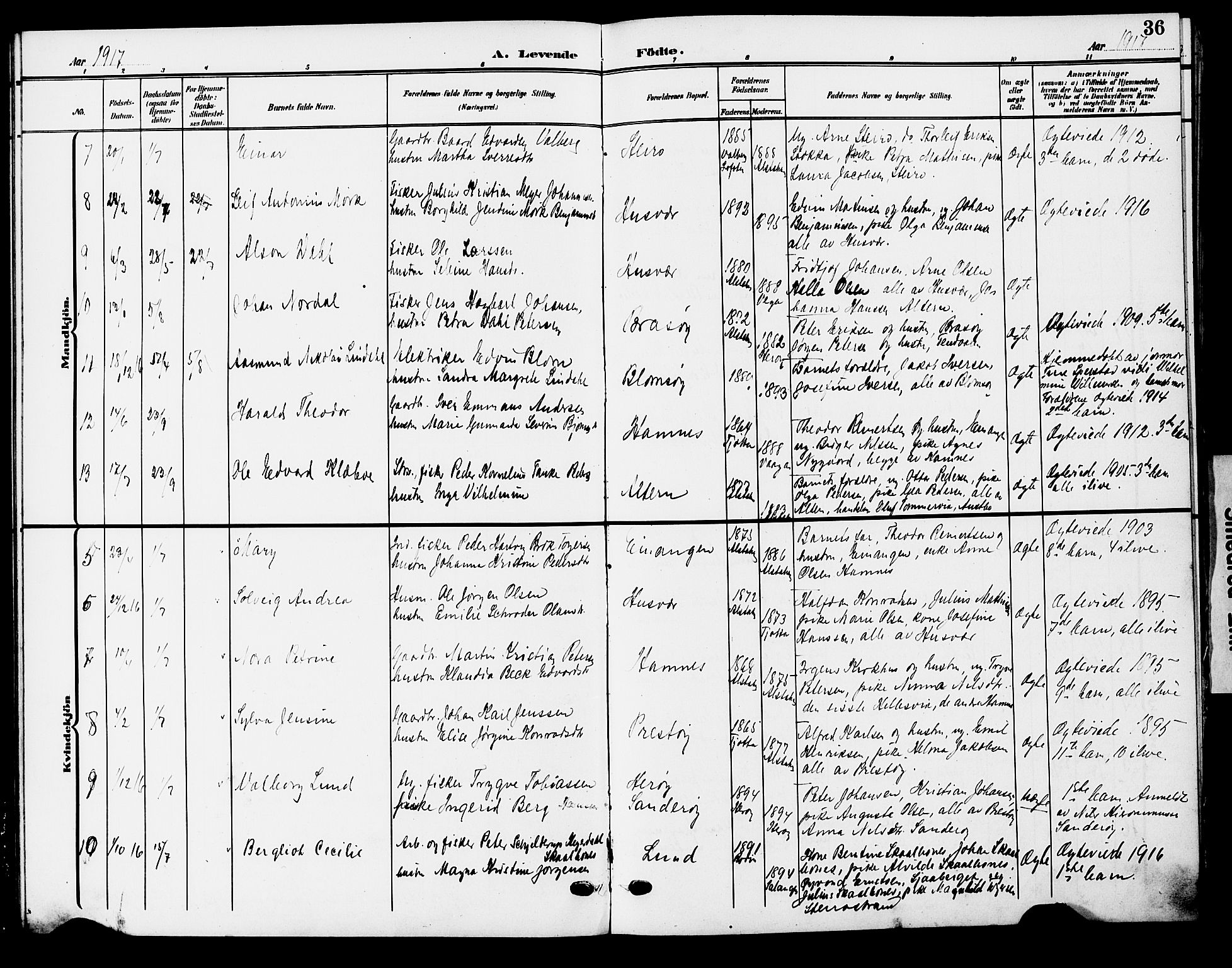 Ministerialprotokoller, klokkerbøker og fødselsregistre - Nordland, AV/SAT-A-1459/830/L0464: Parish register (copy) no. 830C06, 1906-1925, p. 36