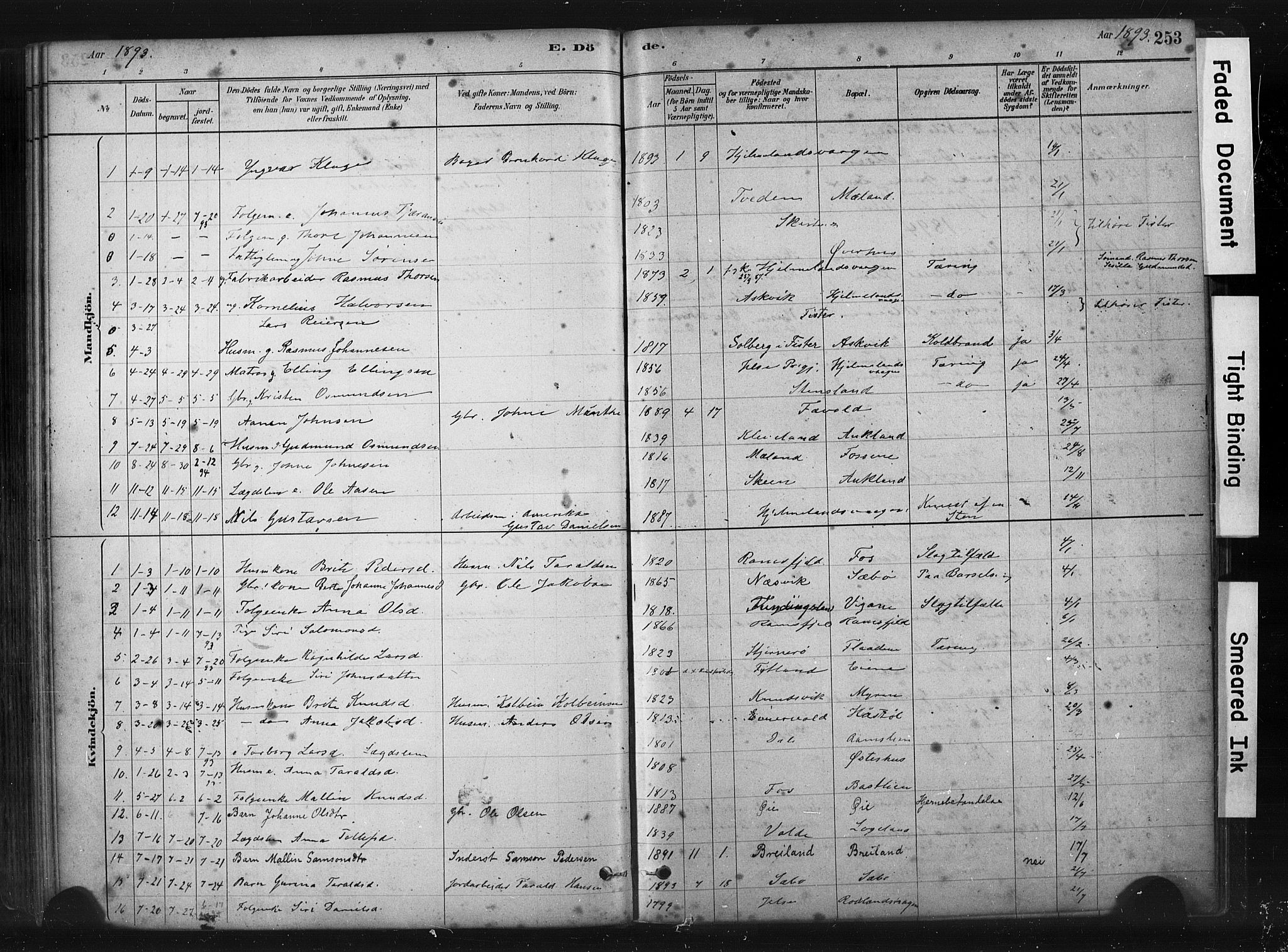 Hjelmeland sokneprestkontor, AV/SAST-A-101843/01/IV/L0014: Parish register (official) no. A 14, 1879-1900, p. 253