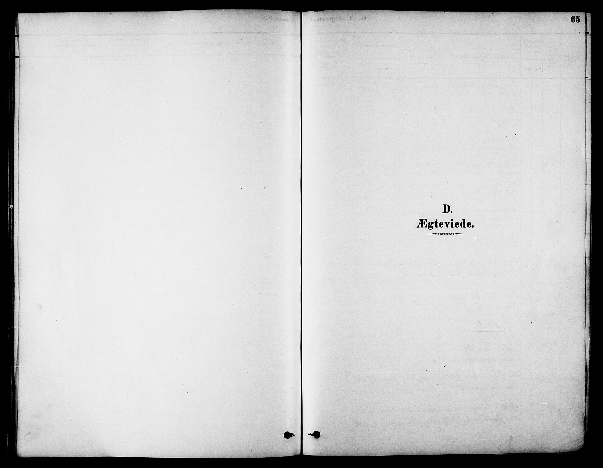 Ministerialprotokoller, klokkerbøker og fødselsregistre - Nordland, SAT/A-1459/826/L0379: Parish register (official) no. 826A02, 1878-1895, p. 65