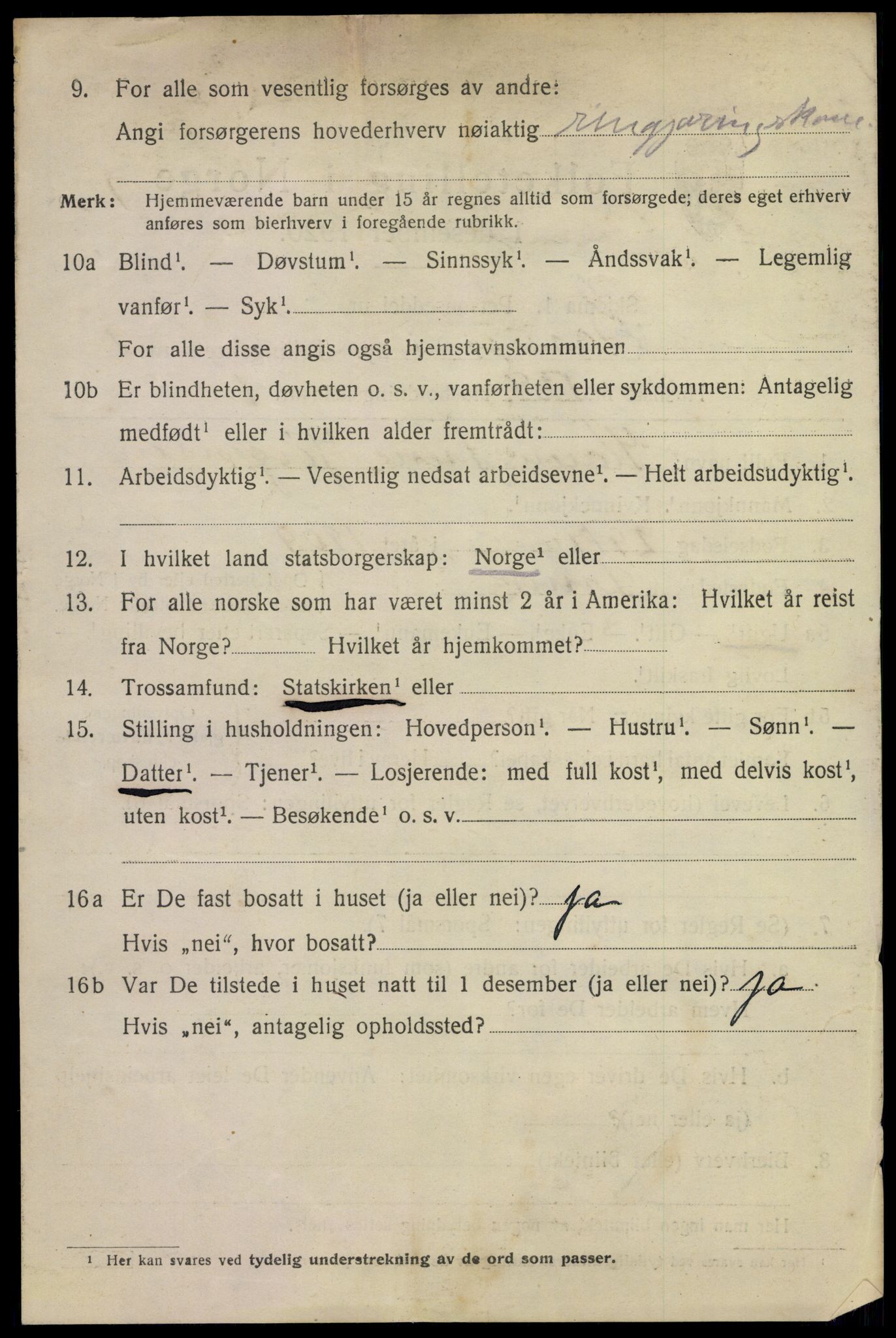 SAKO, 1920 census for Larvik, 1920, p. 12133