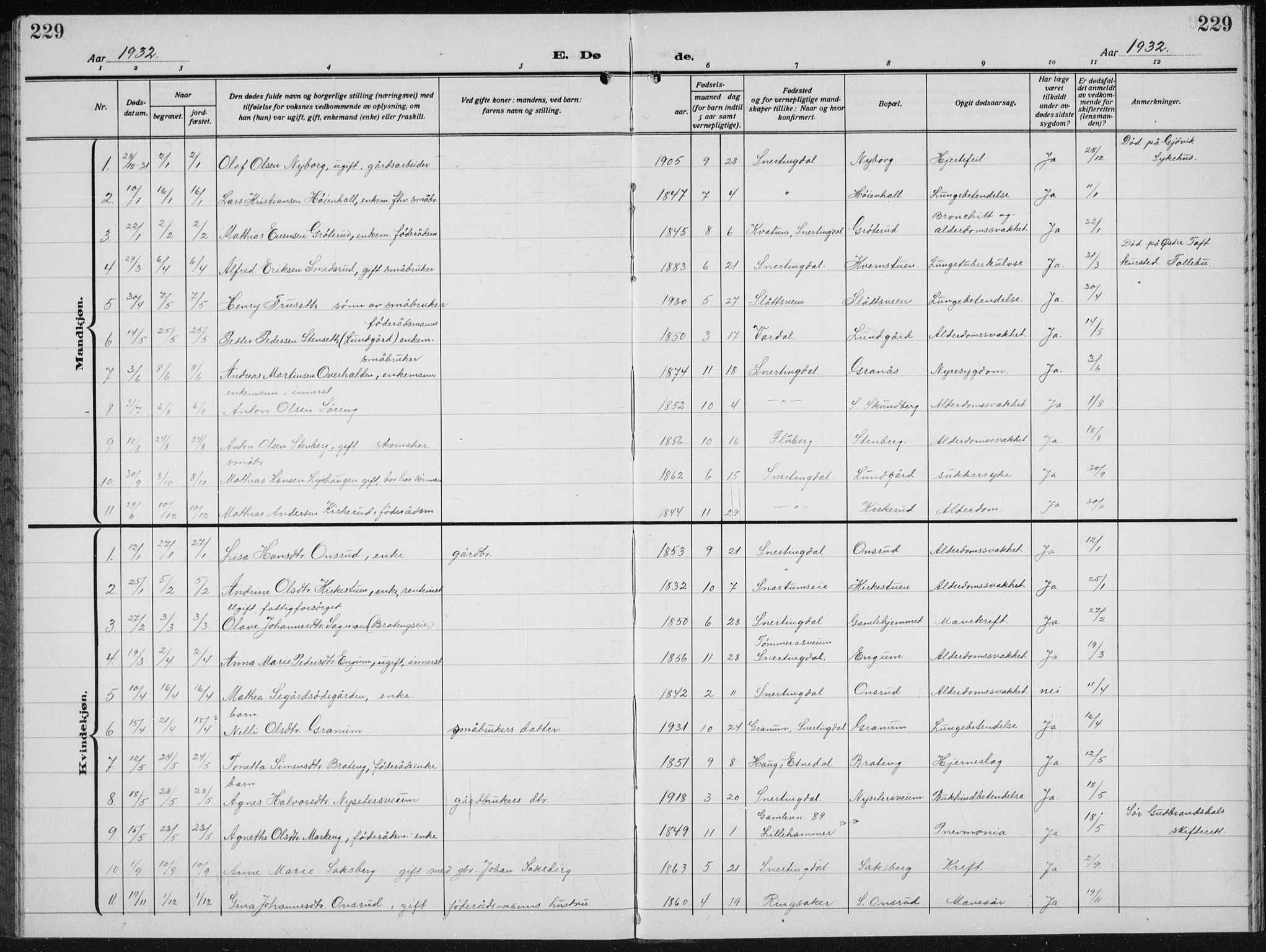 Biri prestekontor, SAH/PREST-096/H/Ha/Hab/L0007: Parish register (copy) no. 7, 1919-1941, p. 229