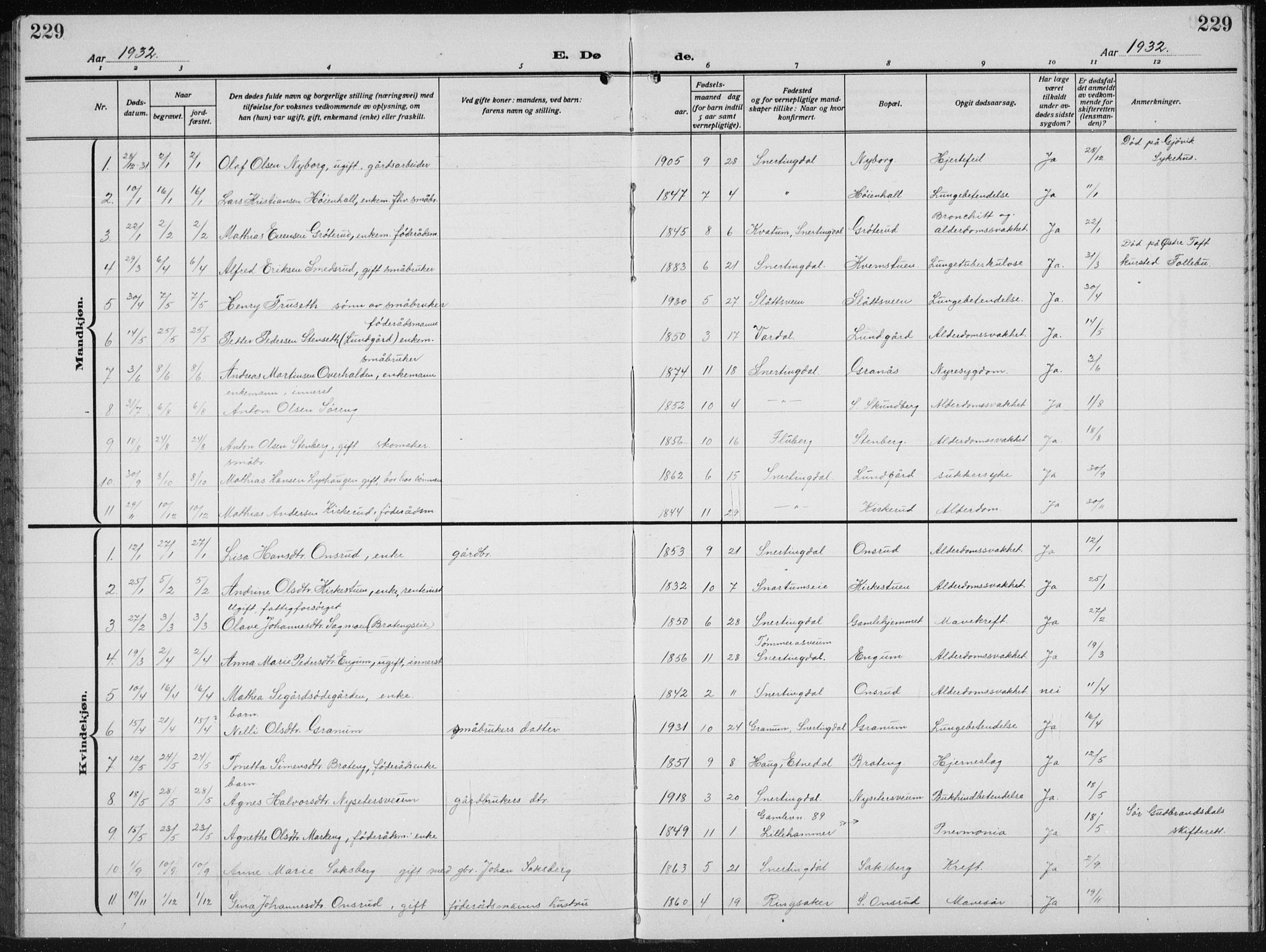 Biri prestekontor, AV/SAH-PREST-096/H/Ha/Hab/L0007: Parish register (copy) no. 7, 1919-1941, p. 229