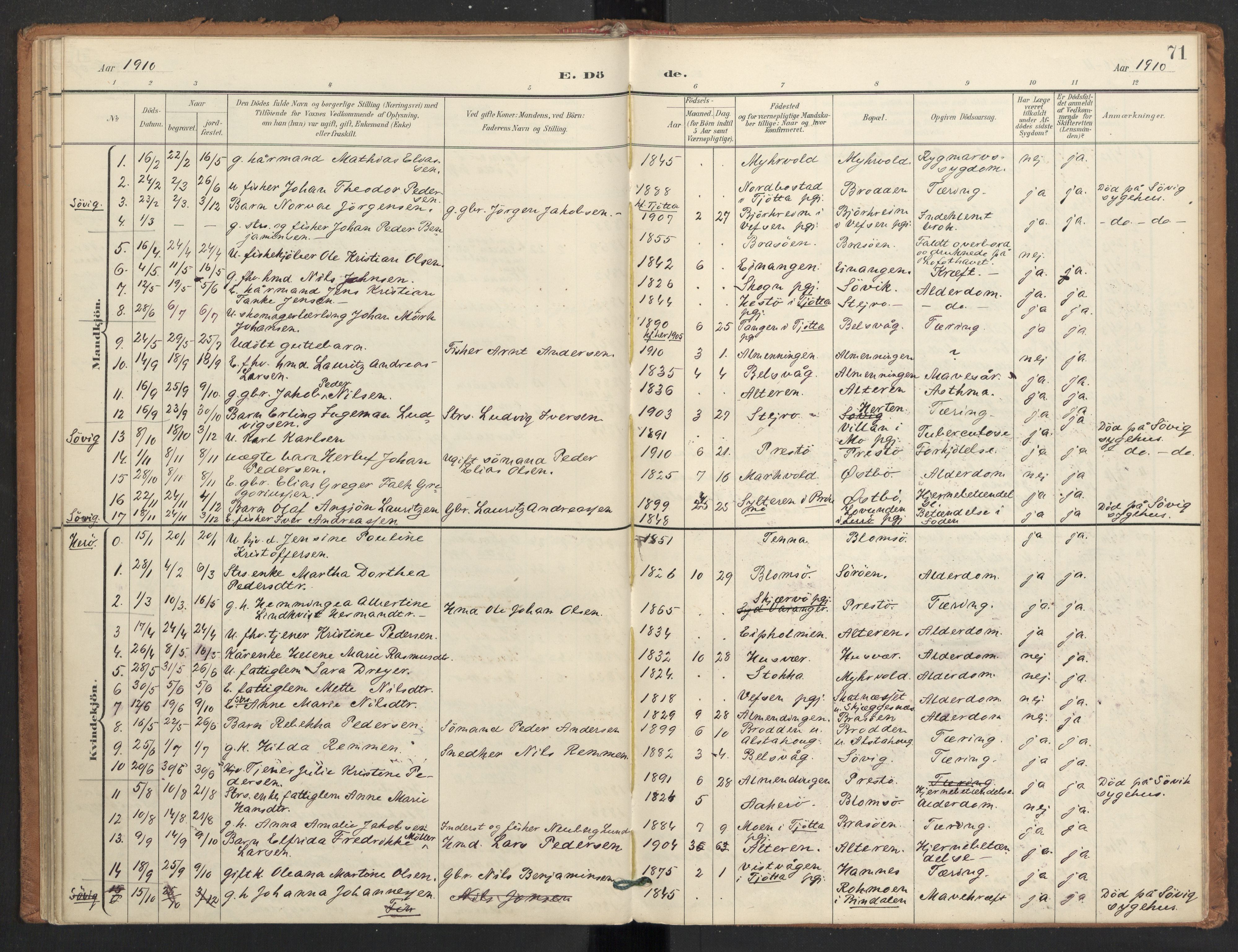 Ministerialprotokoller, klokkerbøker og fødselsregistre - Nordland, SAT/A-1459/830/L0454: Parish register (official) no. 830A18, 1897-1913, p. 71