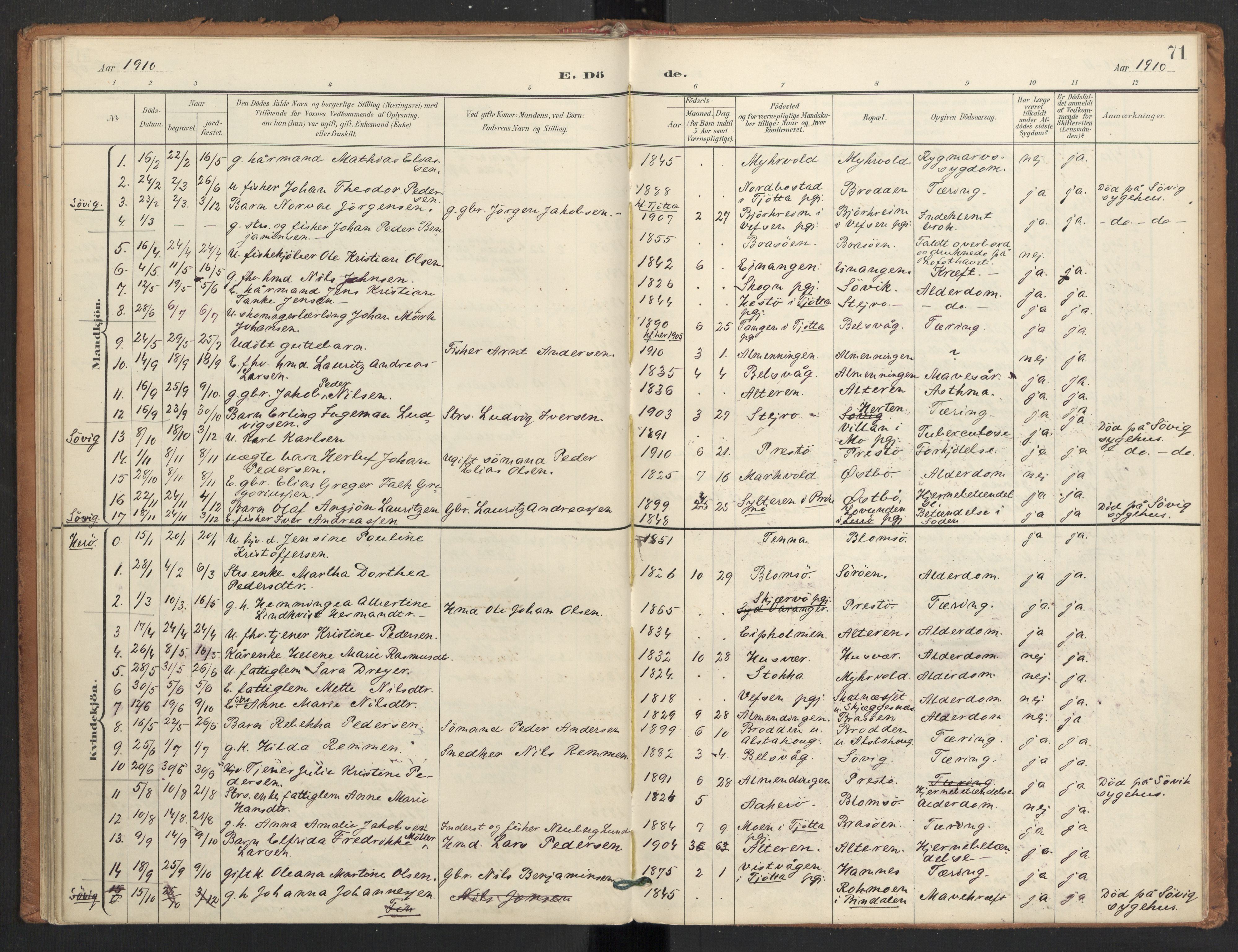 Ministerialprotokoller, klokkerbøker og fødselsregistre - Nordland, AV/SAT-A-1459/830/L0454: Parish register (official) no. 830A18, 1897-1913, p. 71