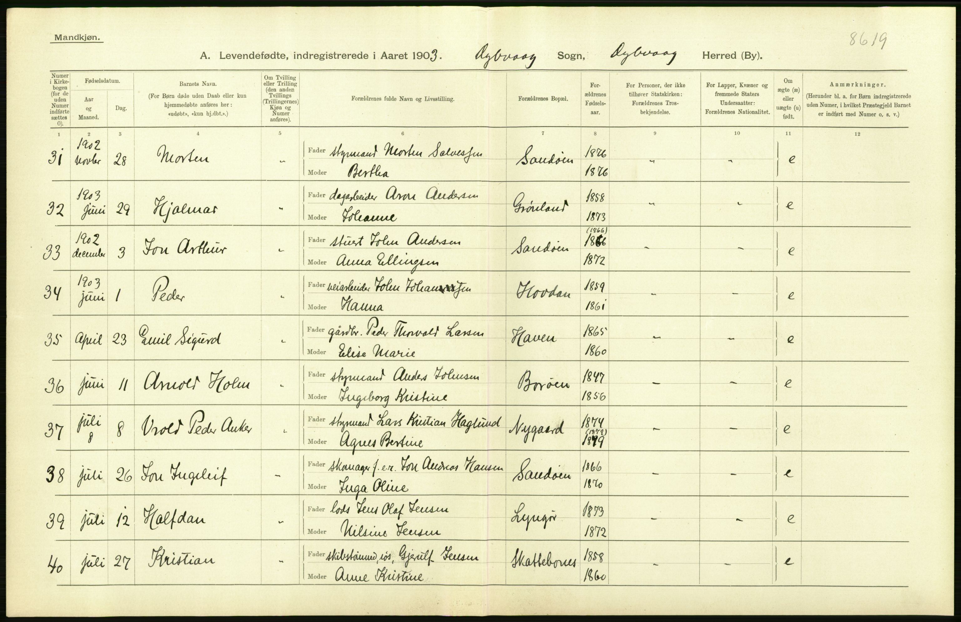 Statistisk sentralbyrå, Sosiodemografiske emner, Befolkning, AV/RA-S-2228/D/Df/Dfa/Dfaa/L0010: Nedenes amt: Fødte, gifte, døde, 1903, p. 10