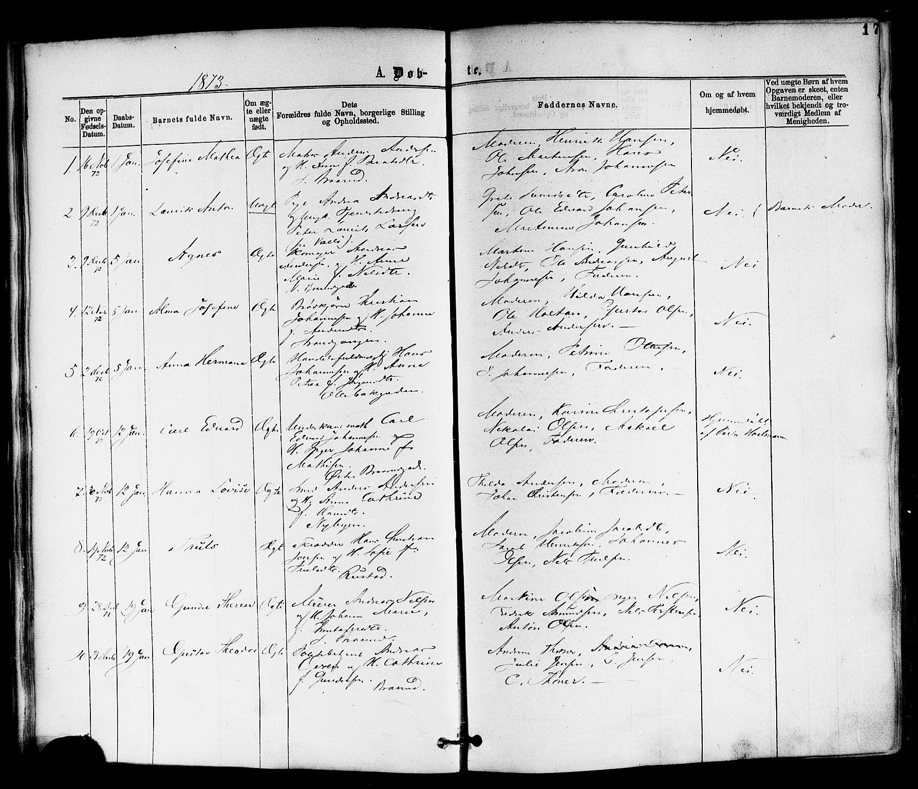 Horten kirkebøker, SAKO/A-348/F/Fa/L0002: Parish register (official) no. 2, 1872-1877, p. 17