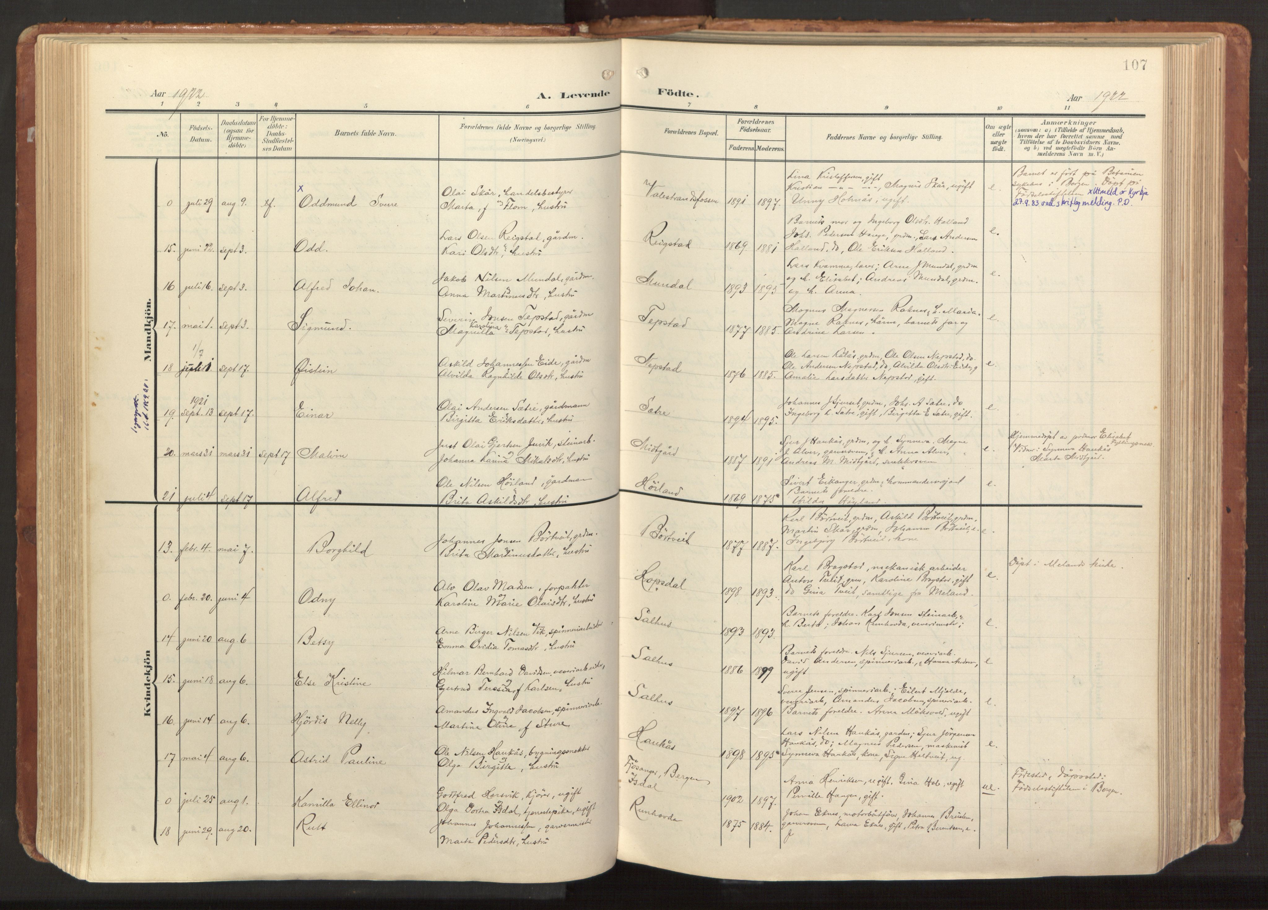 Hamre sokneprestembete, AV/SAB-A-75501/H/Ha/Haa/Haab/L0002: Parish register (official) no. B 2, 1905-1924, p. 107