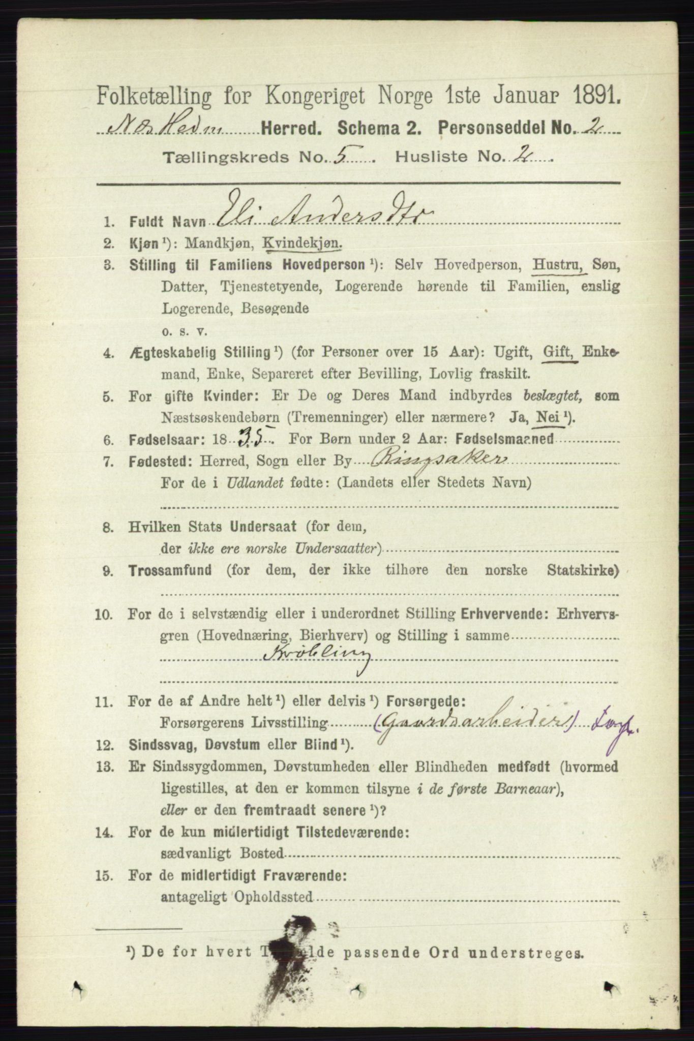 RA, 1891 census for 0411 Nes, 1891, p. 2613