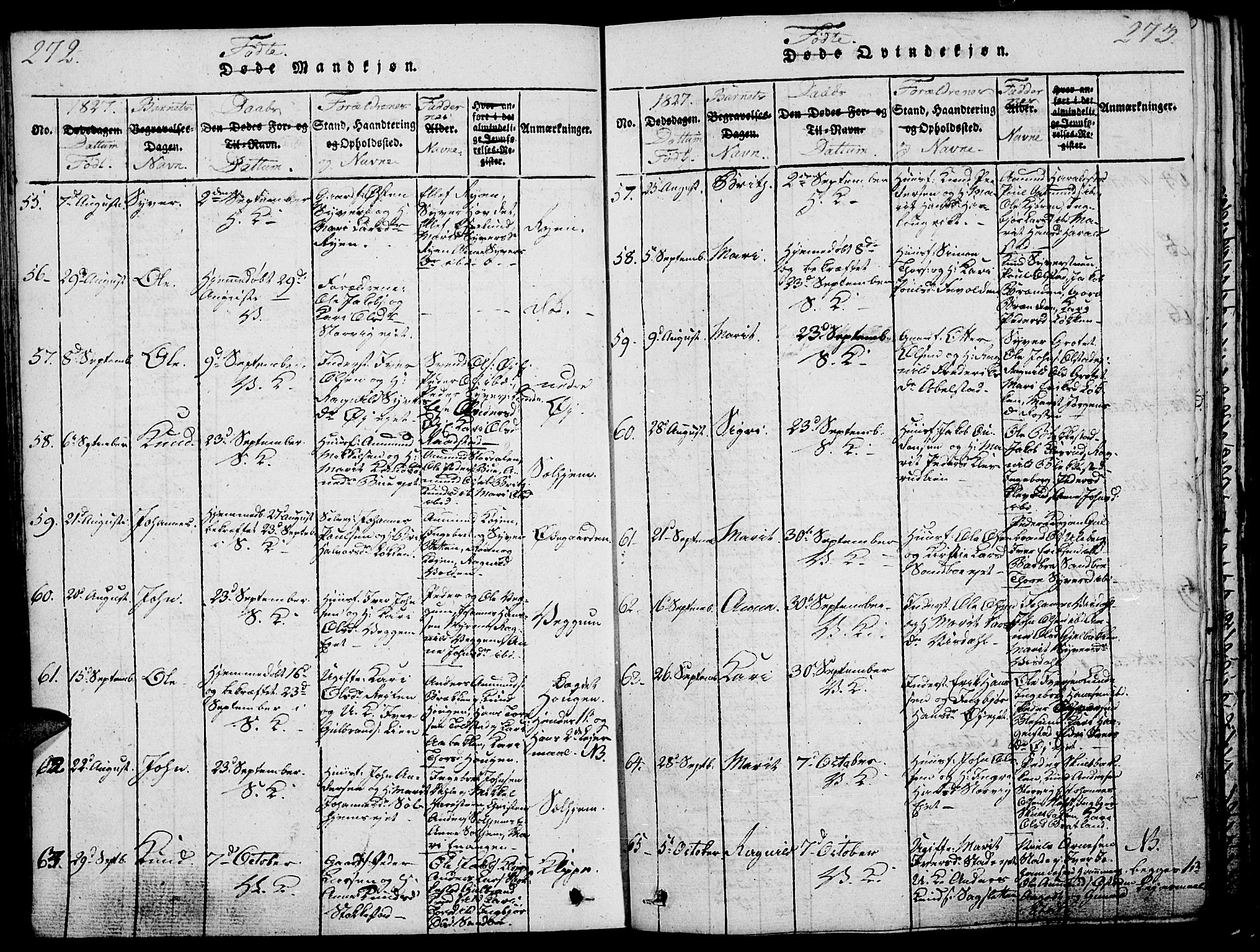 Vågå prestekontor, SAH/PREST-076/H/Ha/Haa/L0003: Parish register (official) no. 3, 1815-1827, p. 272-273