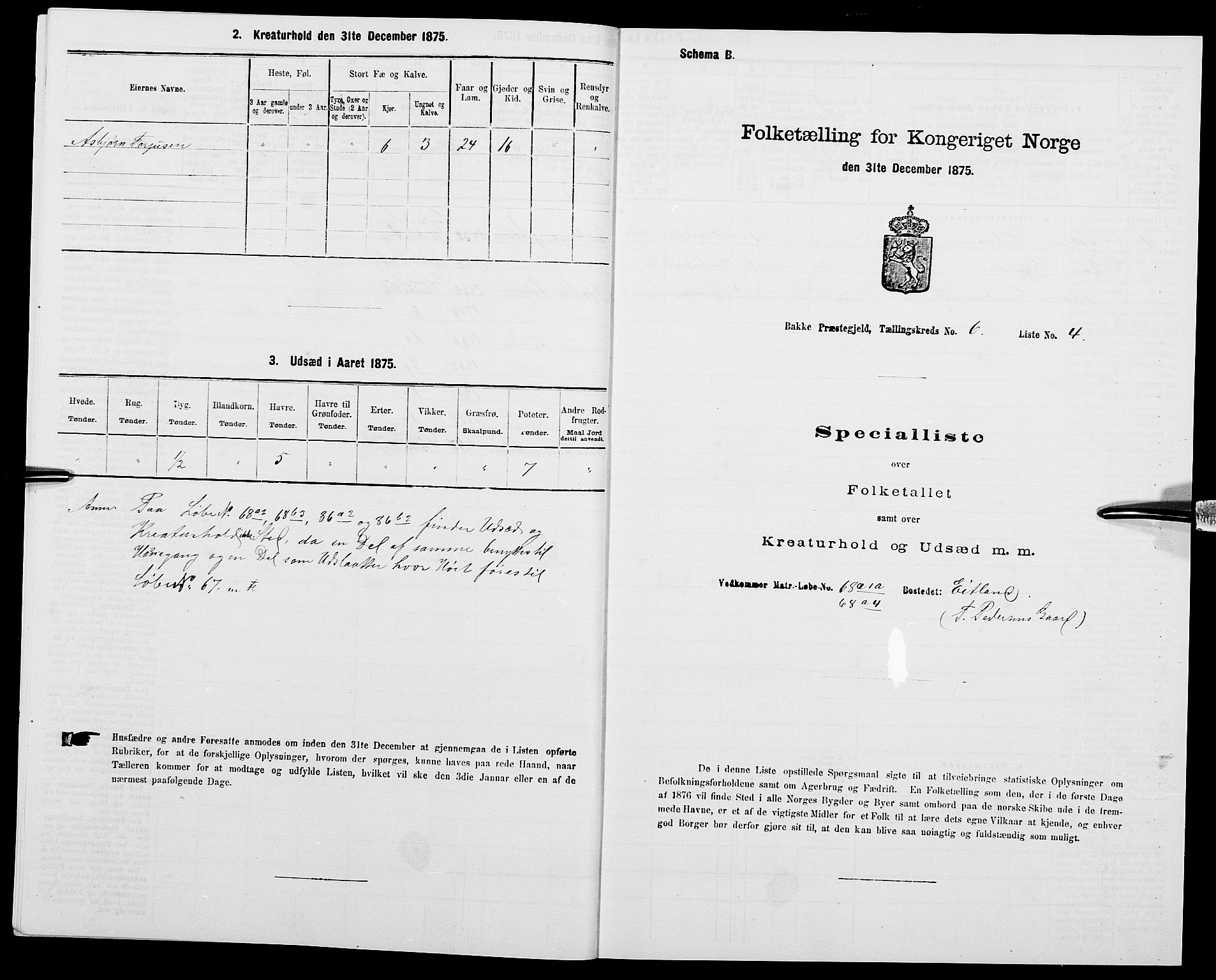 SAK, 1875 census for 1045P Bakke, 1875, p. 571