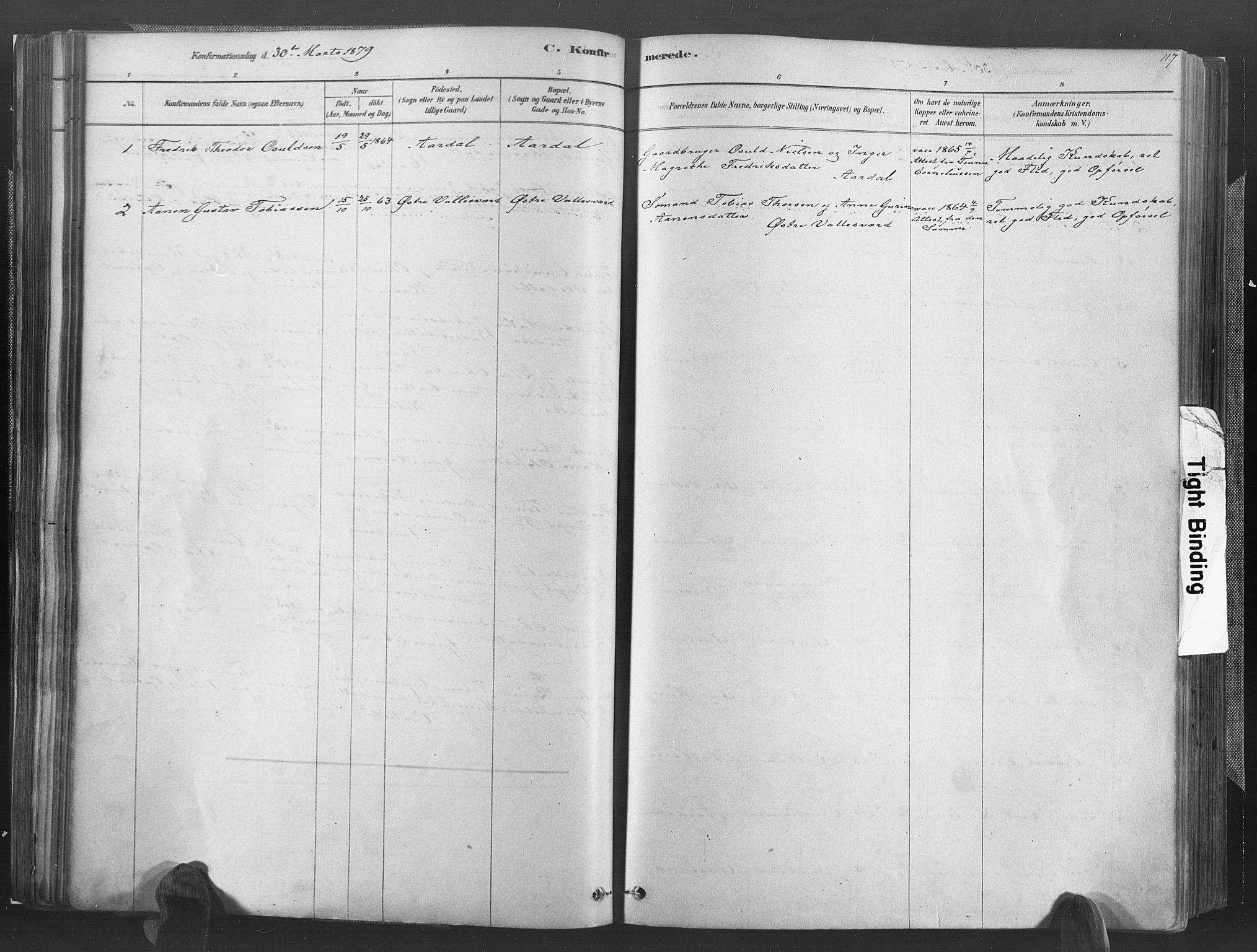 Høvåg sokneprestkontor, SAK/1111-0025/F/Fa/L0005: Parish register (official) no. A 5, 1878-1893, p. 117