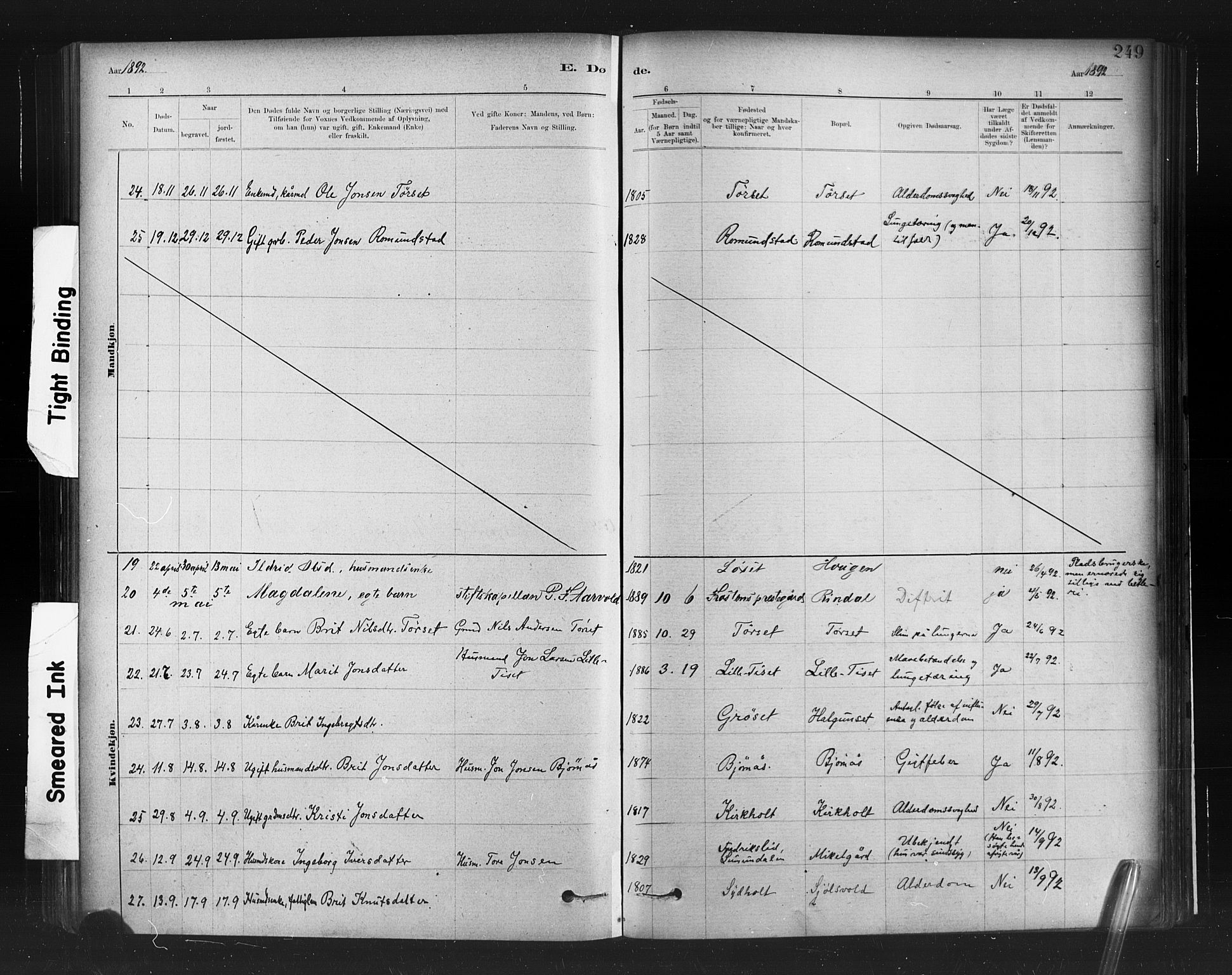 Ministerialprotokoller, klokkerbøker og fødselsregistre - Møre og Romsdal, SAT/A-1454/598/L1069: Parish register (official) no. 598A03, 1882-1895, p. 249