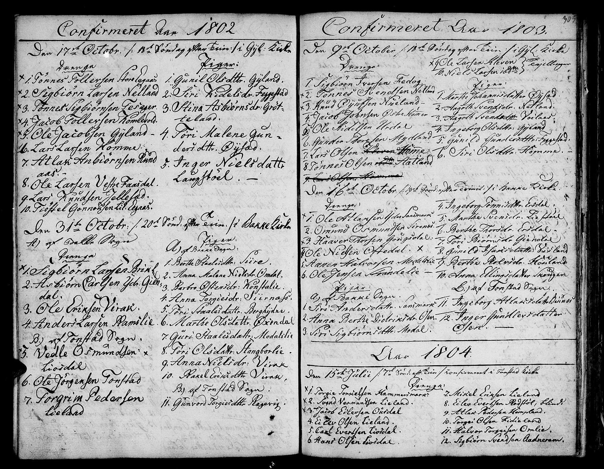 Bakke sokneprestkontor, SAK/1111-0002/F/Fa/Faa/L0002: Parish register (official) no. A 2, 1780-1816, p. 305