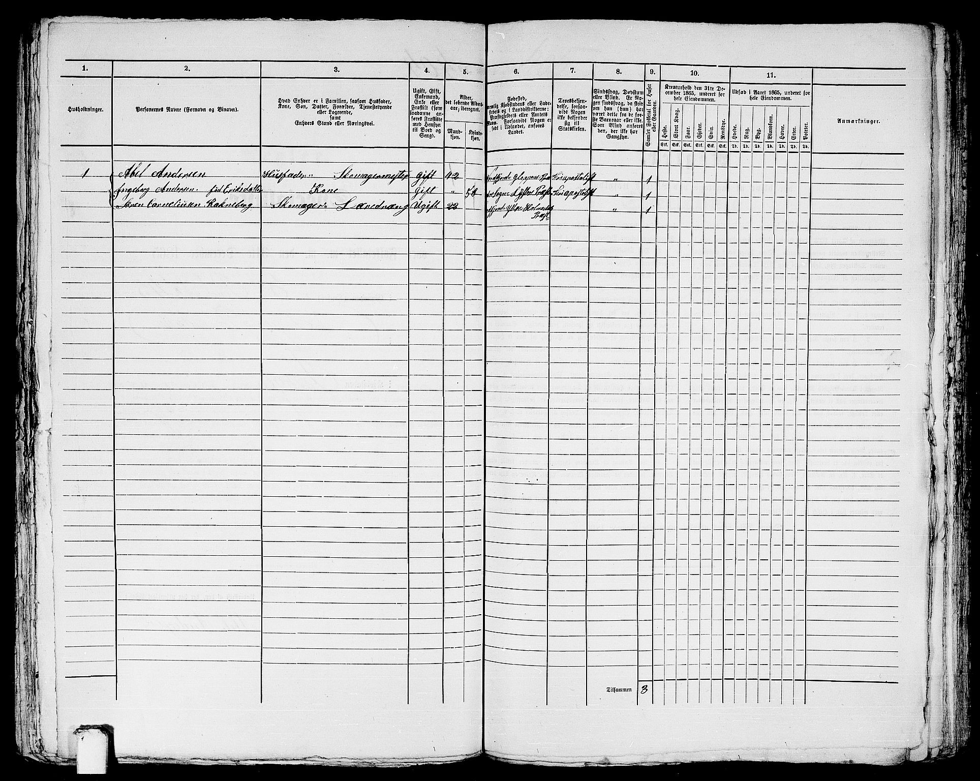 RA, 1865 census for Bergen, 1865, p. 866