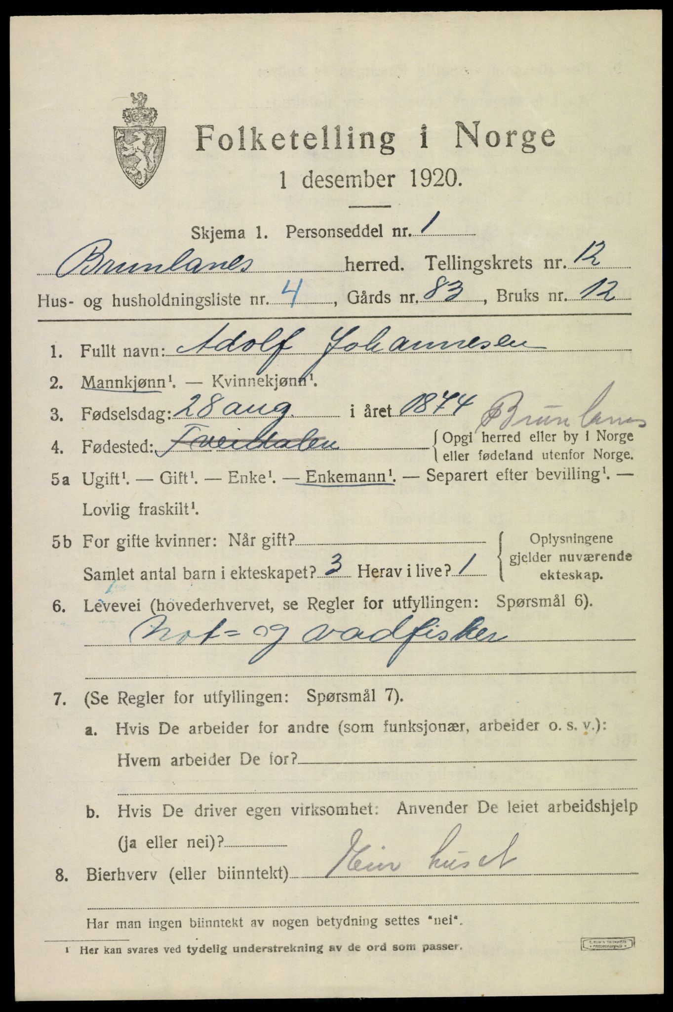 SAKO, 1920 census for Brunlanes, 1920, p. 10537