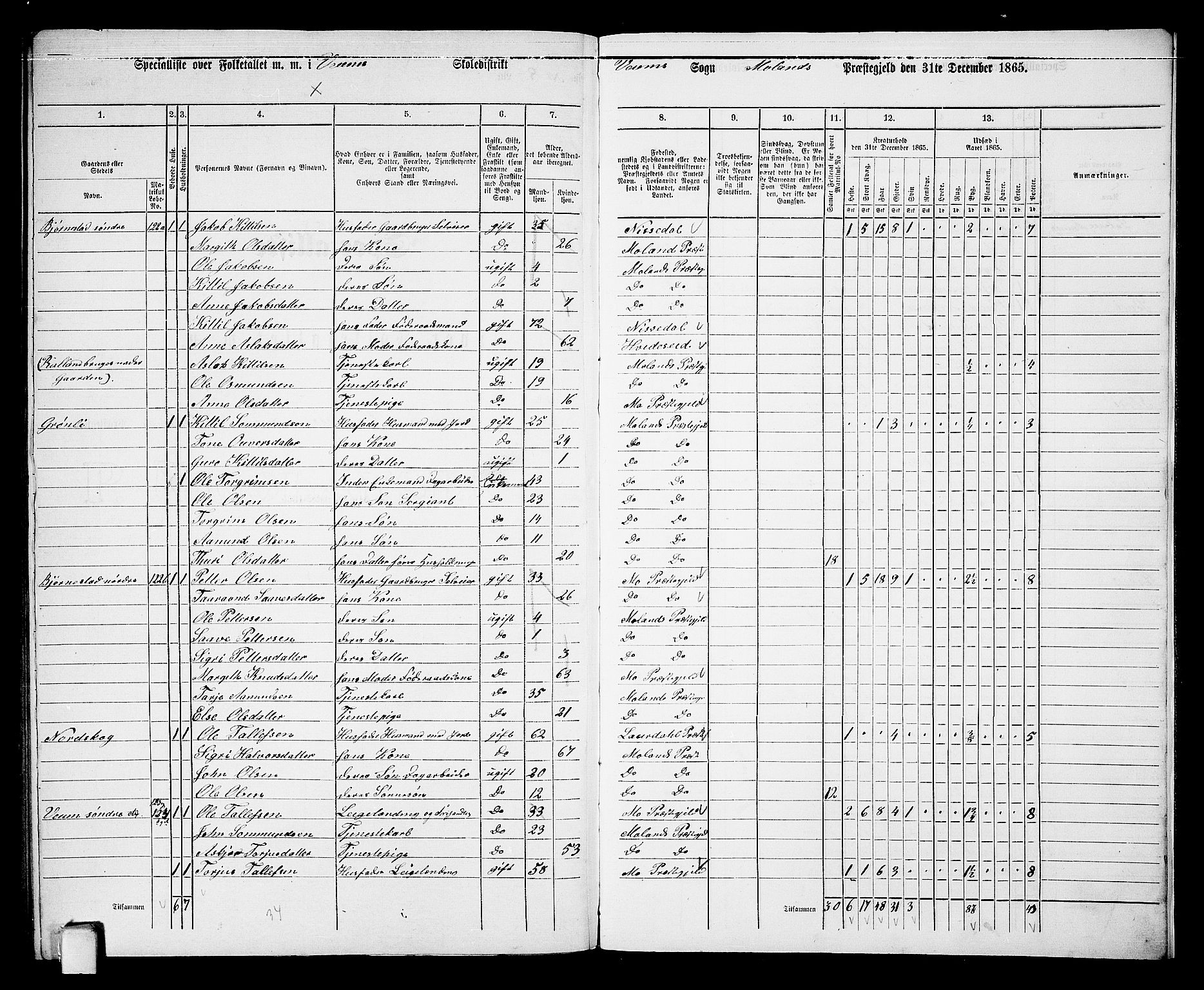 RA, 1865 census for Moland, 1865, p. 89