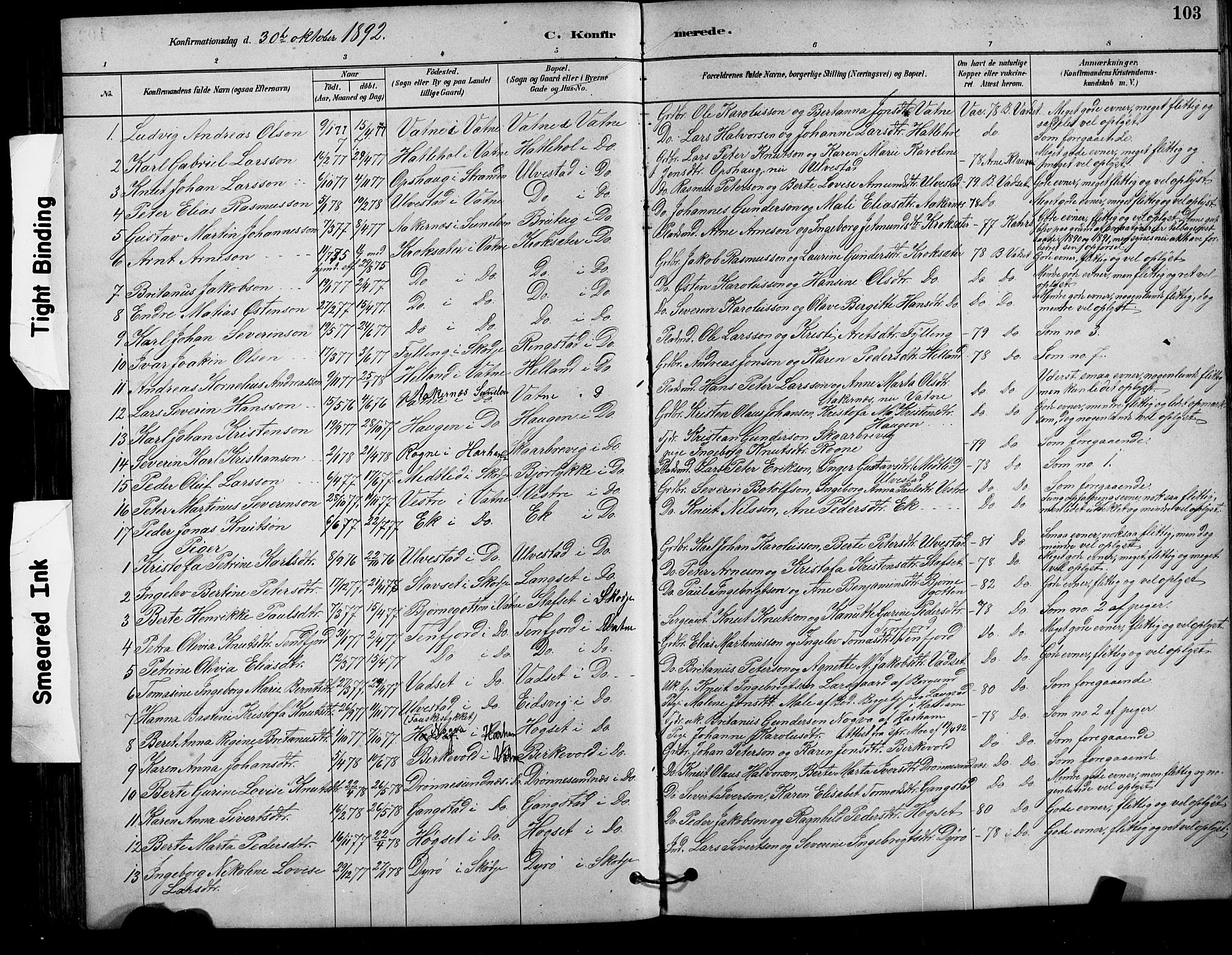 Ministerialprotokoller, klokkerbøker og fødselsregistre - Møre og Romsdal, AV/SAT-A-1454/525/L0376: Parish register (copy) no. 525C02, 1880-1902, p. 103