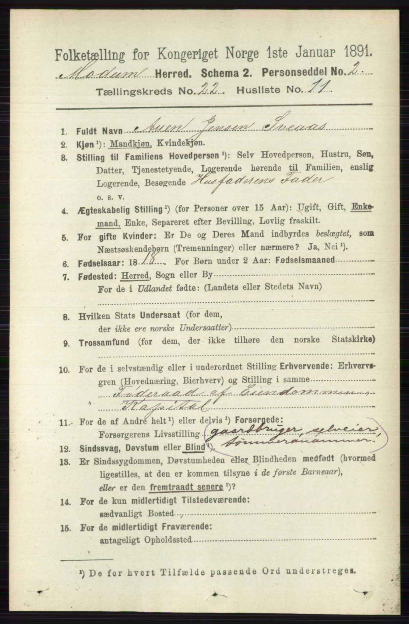 RA, 1891 census for 0623 Modum, 1891, p. 8438