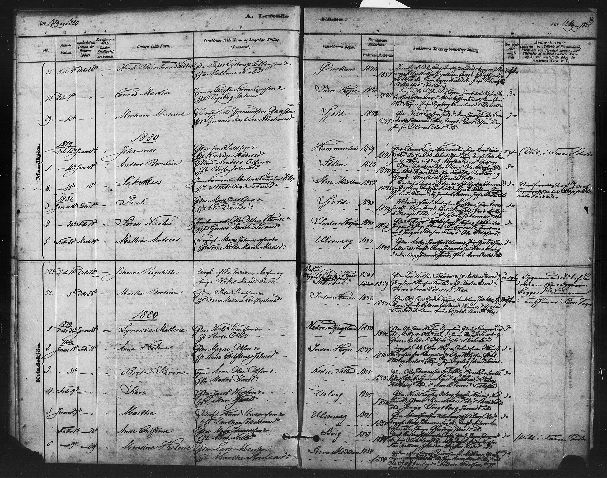 Fana Sokneprestembete, SAB/A-75101/H/Haa/Haai/L0001: Parish register (official) no. I 1, 1878-1888, p. 8